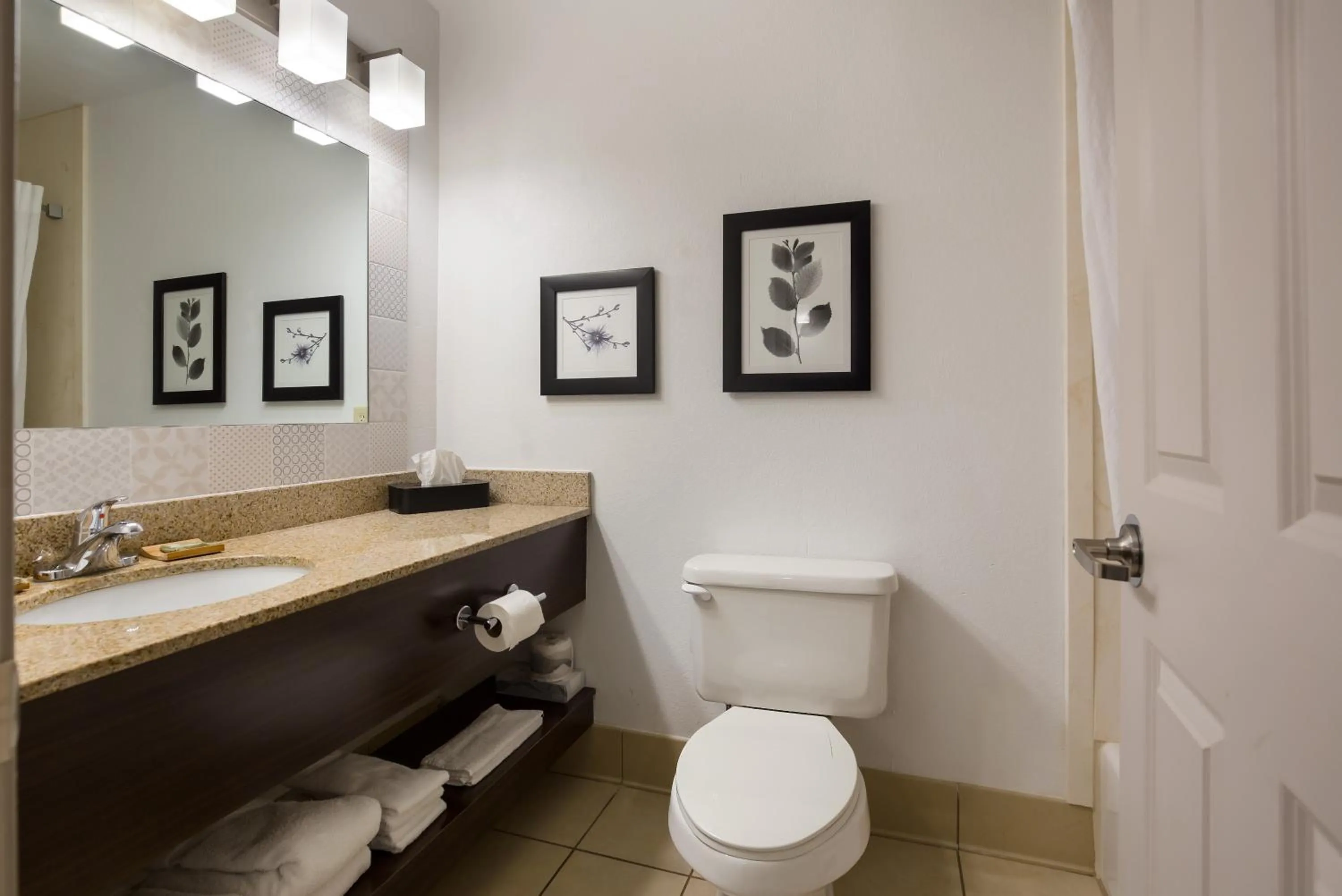 Bathroom in Country Inn & Suites by Radisson, Marion, IL