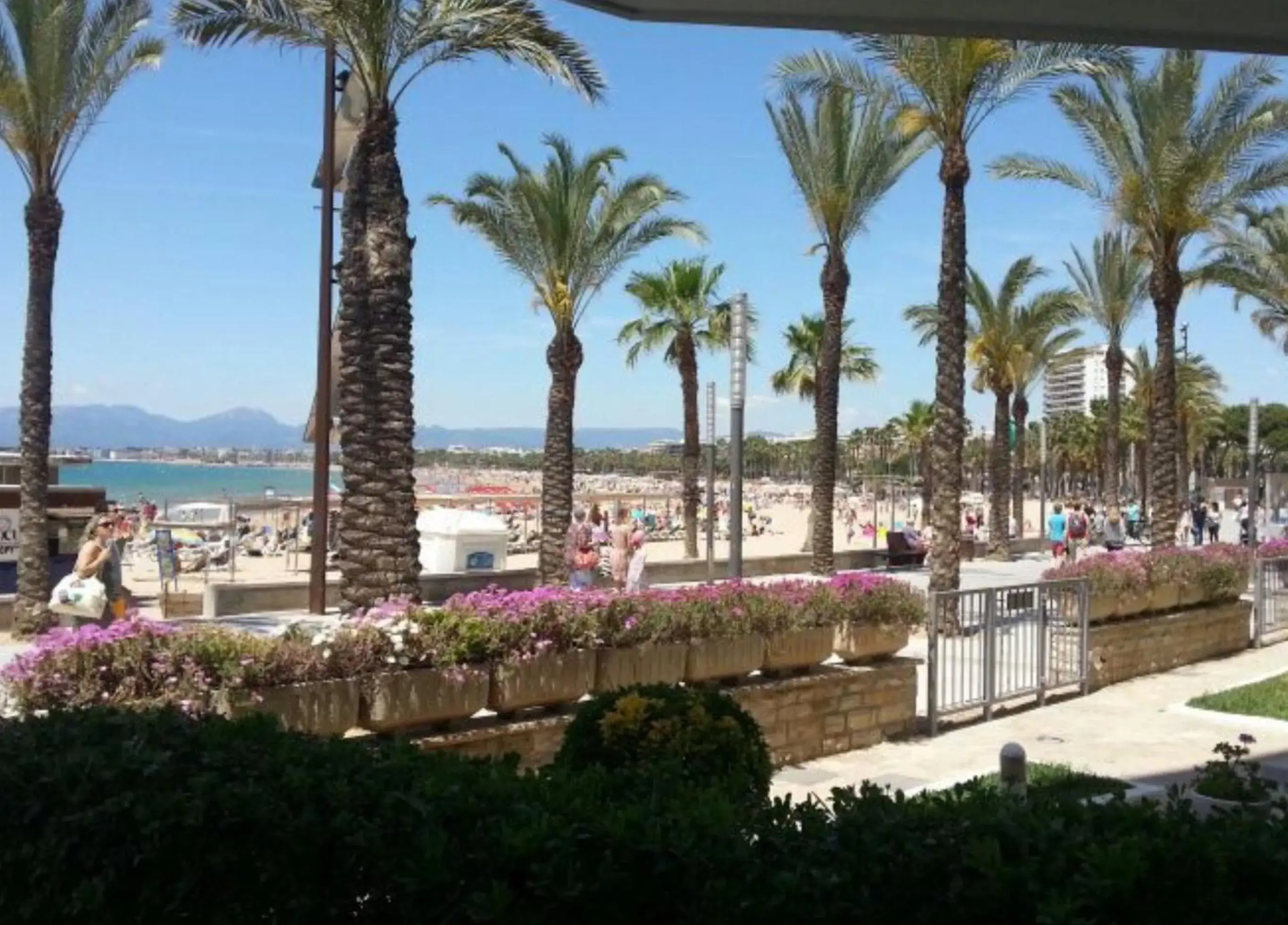 Bello Horizonte Frontbeach Bello Horizonte Frontbeach