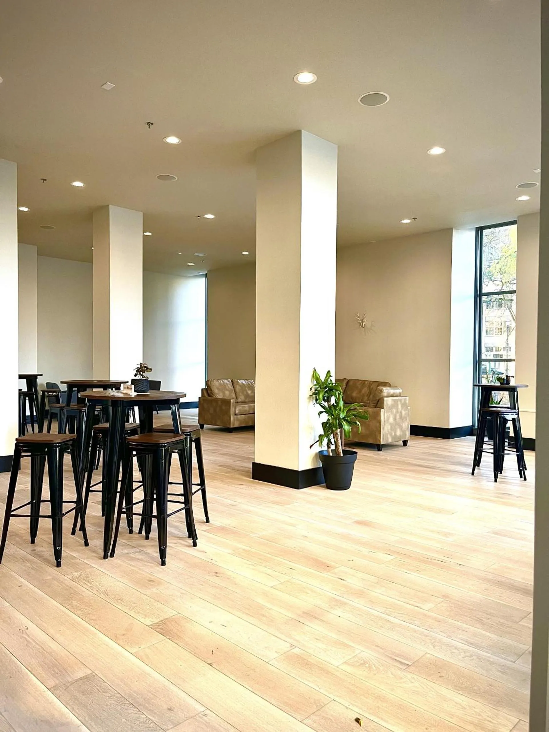 Communal lounge/ TV room in Harlow Hotel