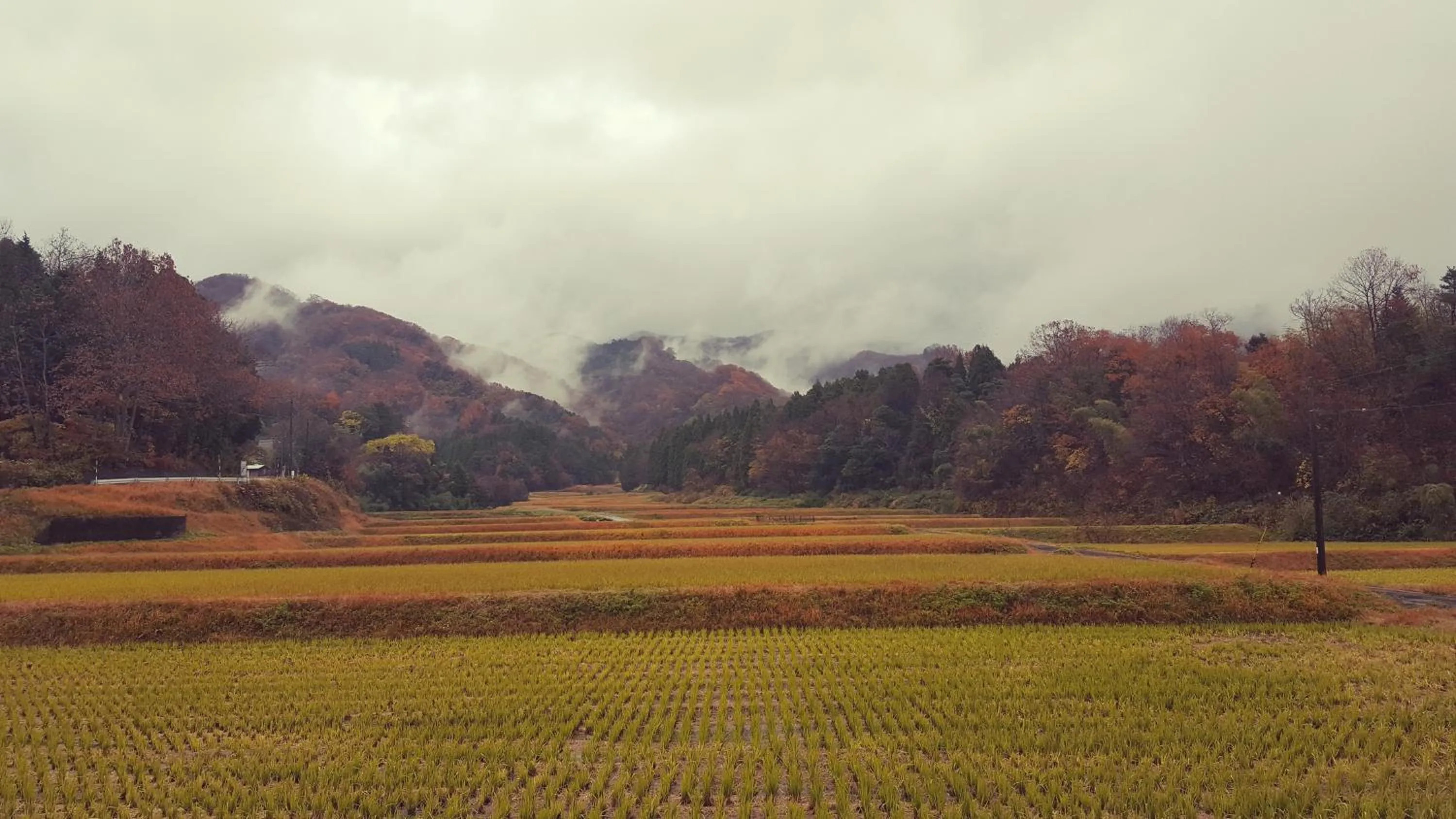 Natural landscape in Asobi Lodge