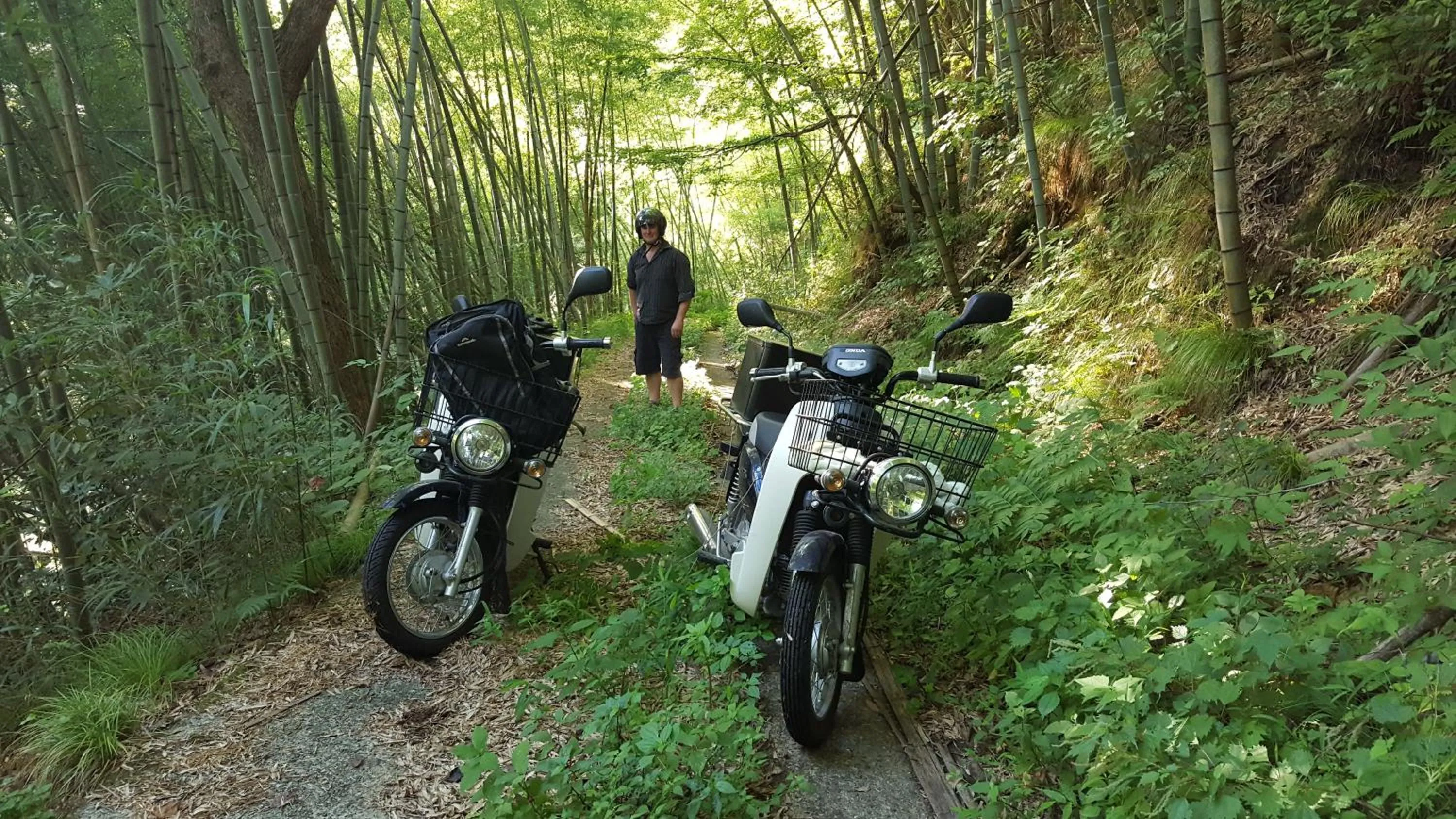 Natural landscape in Asobi Lodge