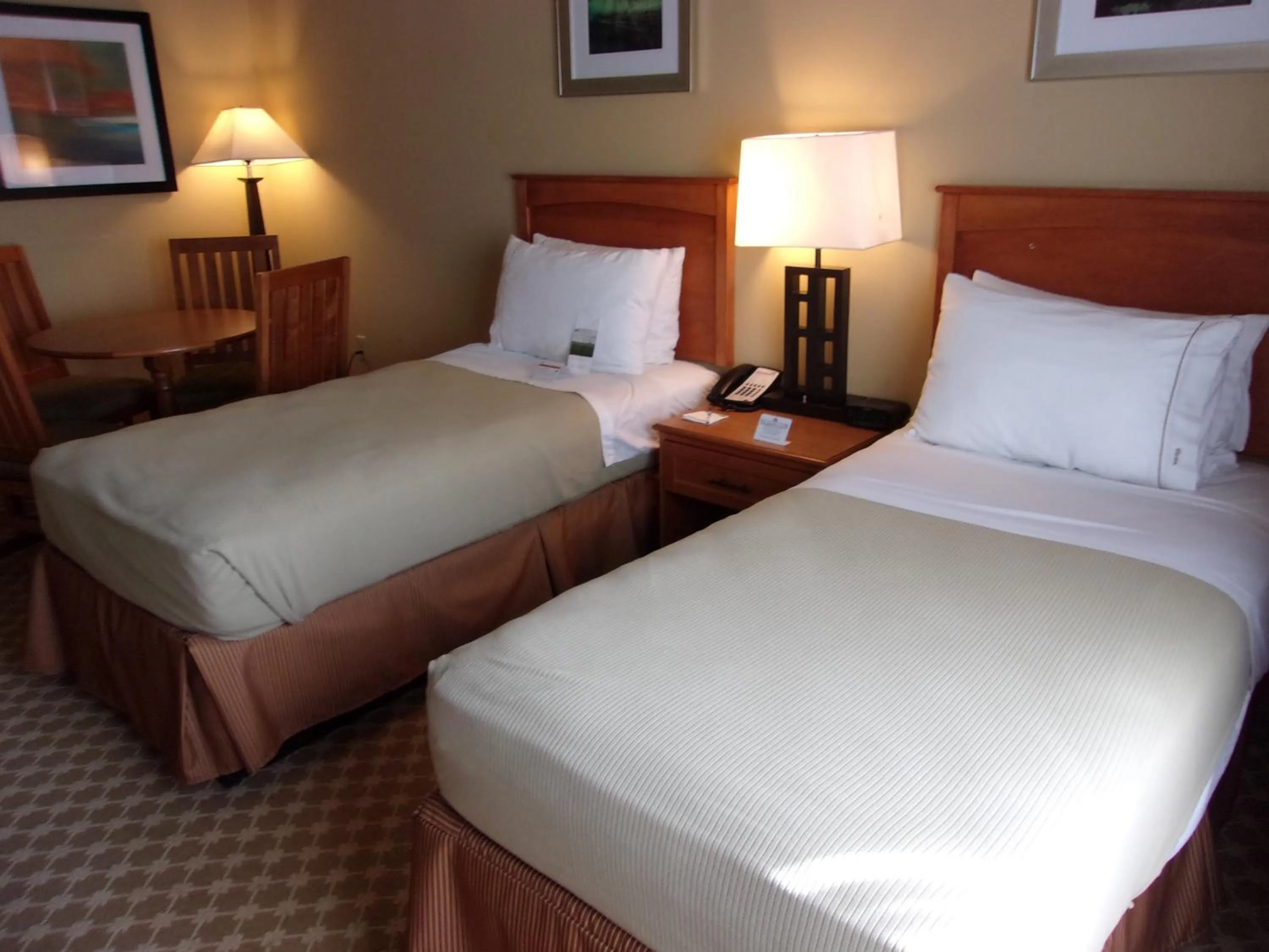 Photo of the whole room, Bed in Holiday Inn Express Hotel & Suites Chicago West Roselle by IHG