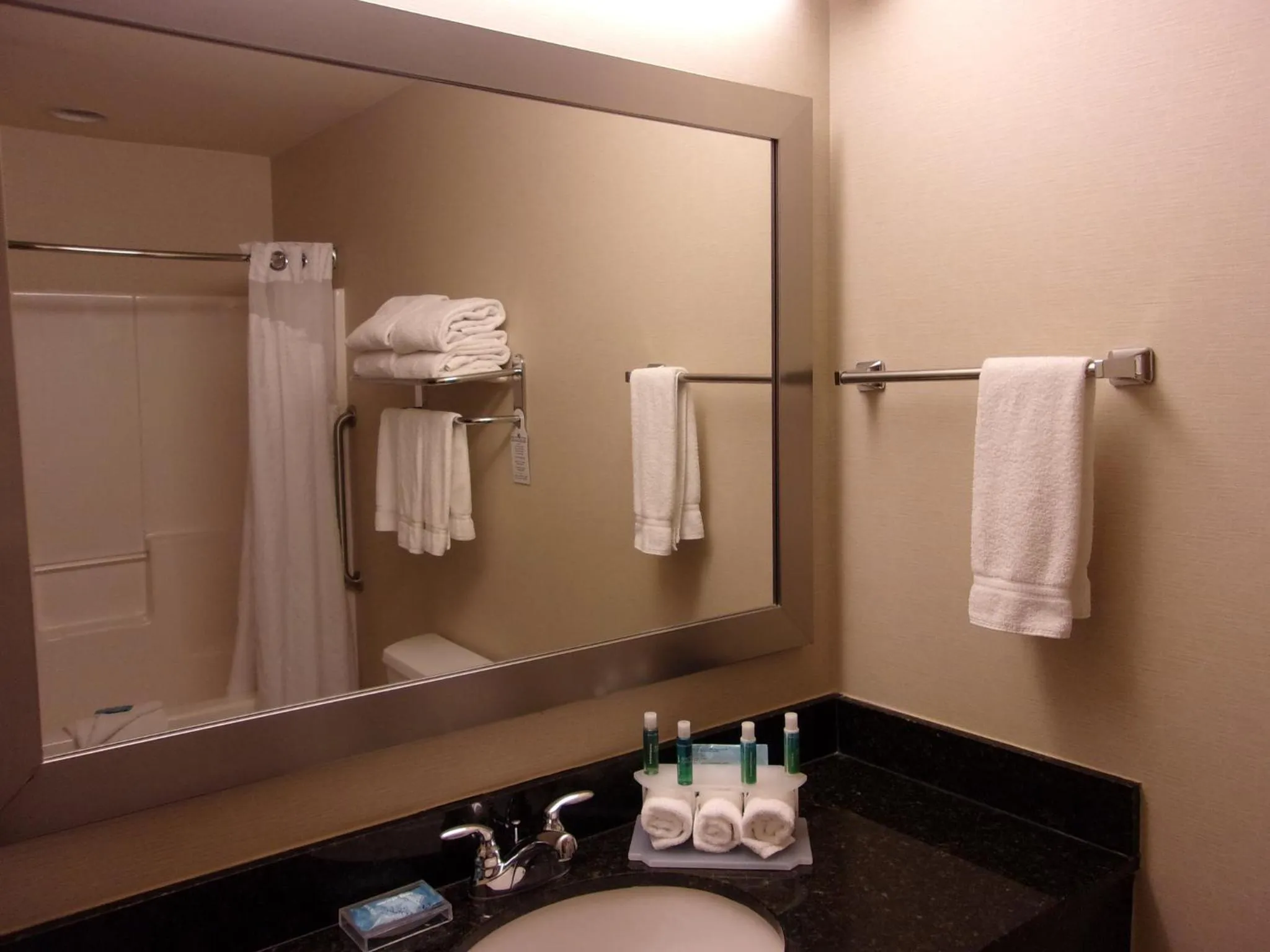Bathroom in Holiday Inn Express Hotel & Suites Chicago West Roselle by IHG