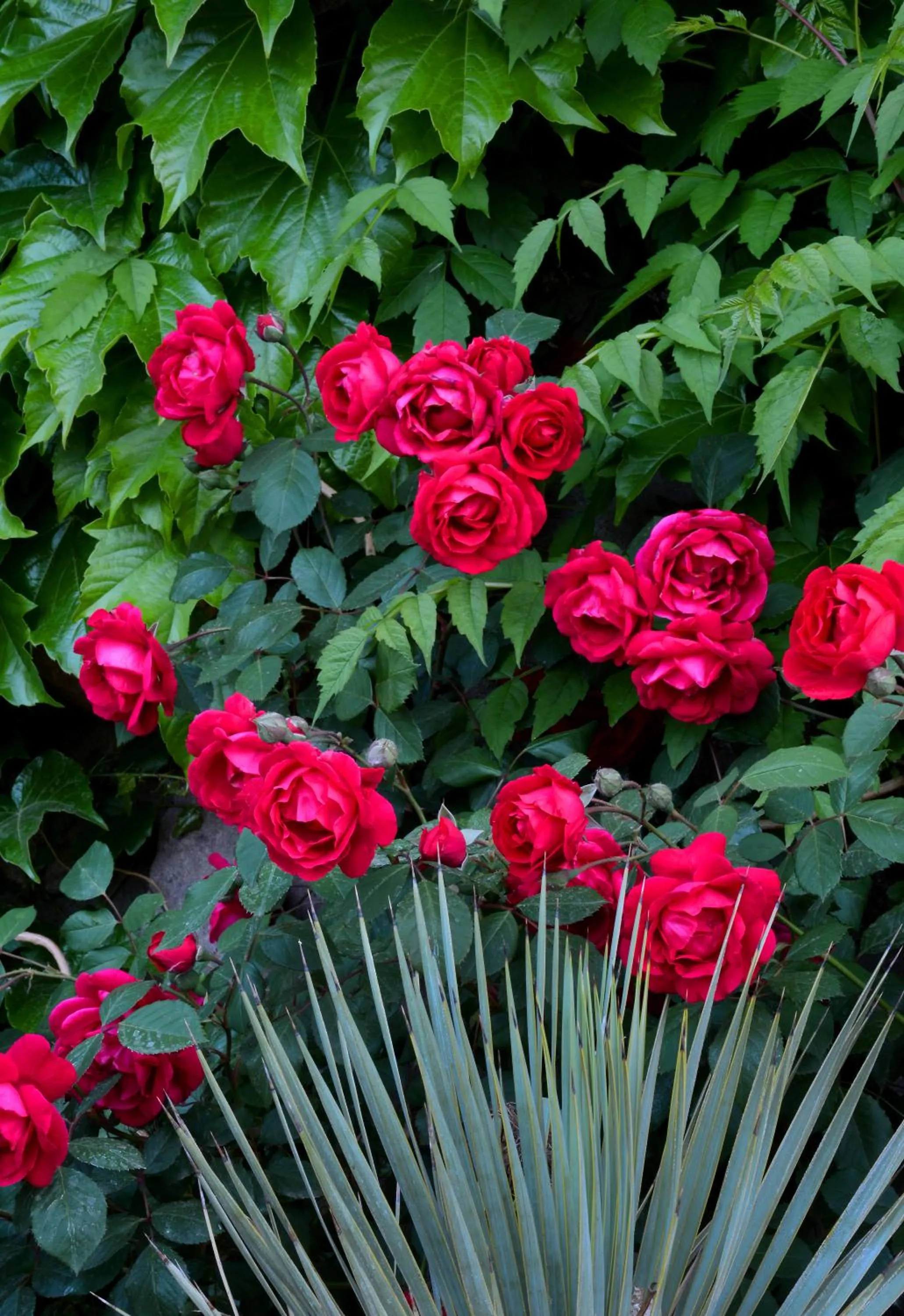 Property building in El Portal Sedona Hotel