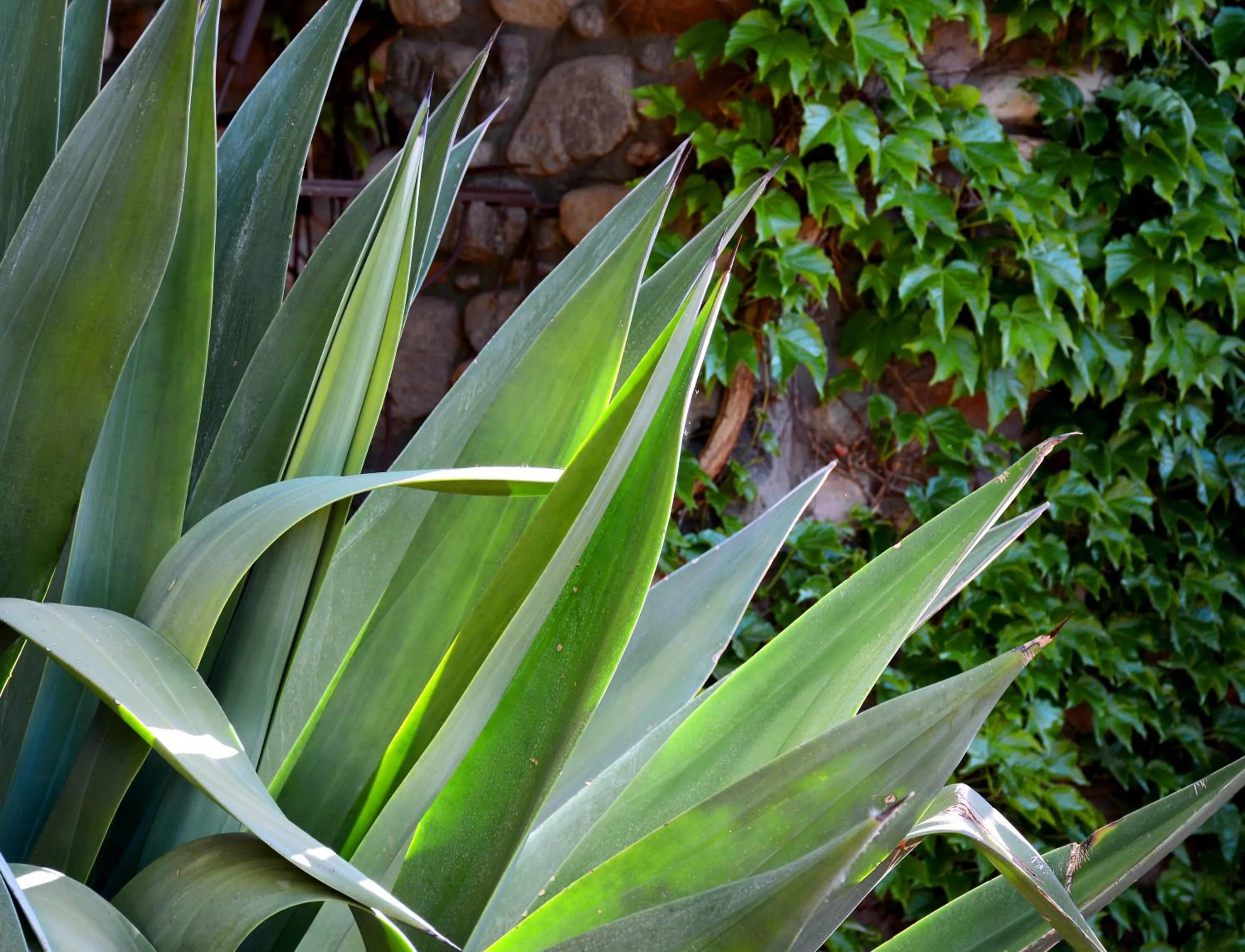 Property building in El Portal Sedona Hotel