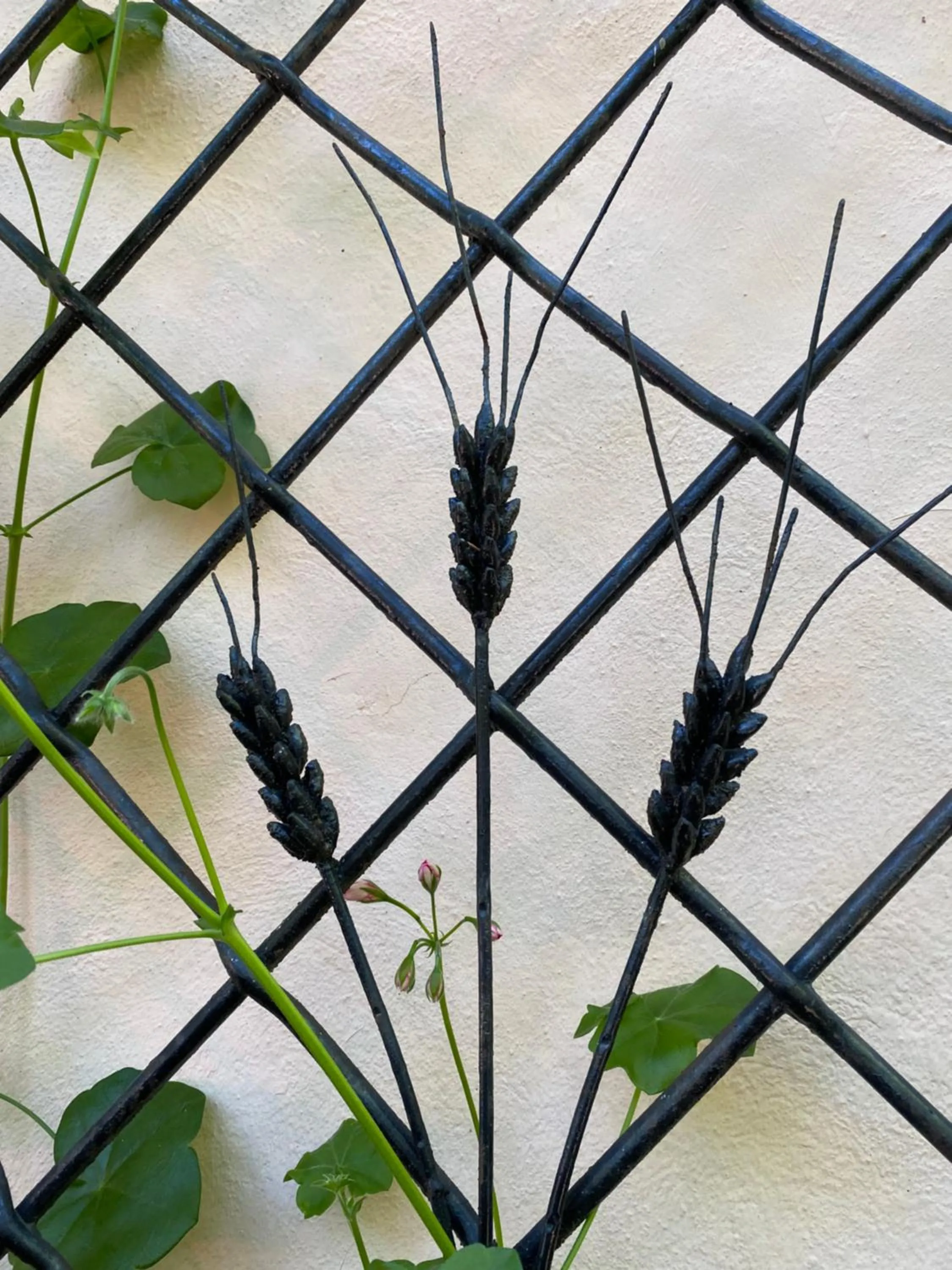 Property building in Les Iris Chambres d’hôte