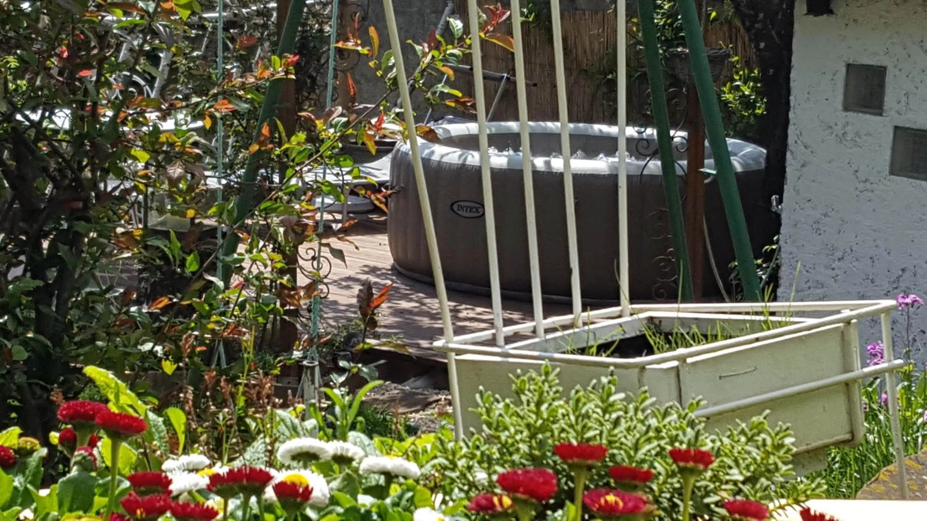 Garden in Les Iris Chambres d’hôte