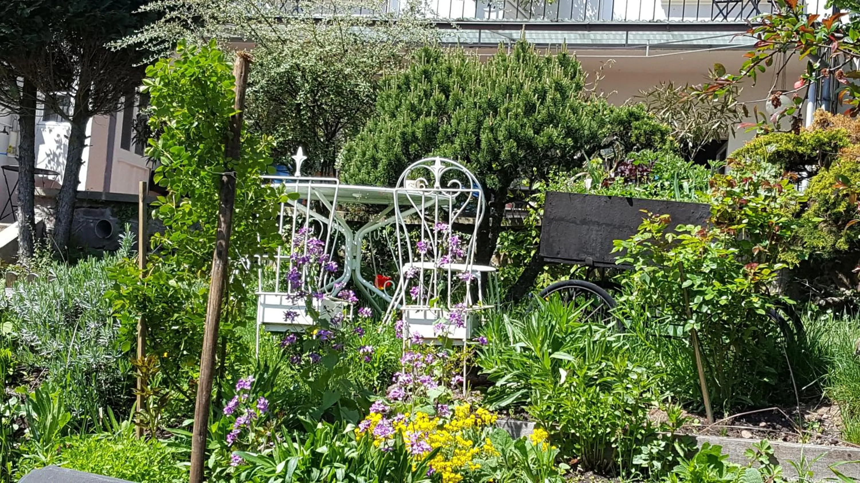Garden in Les Iris Chambres d’hôte