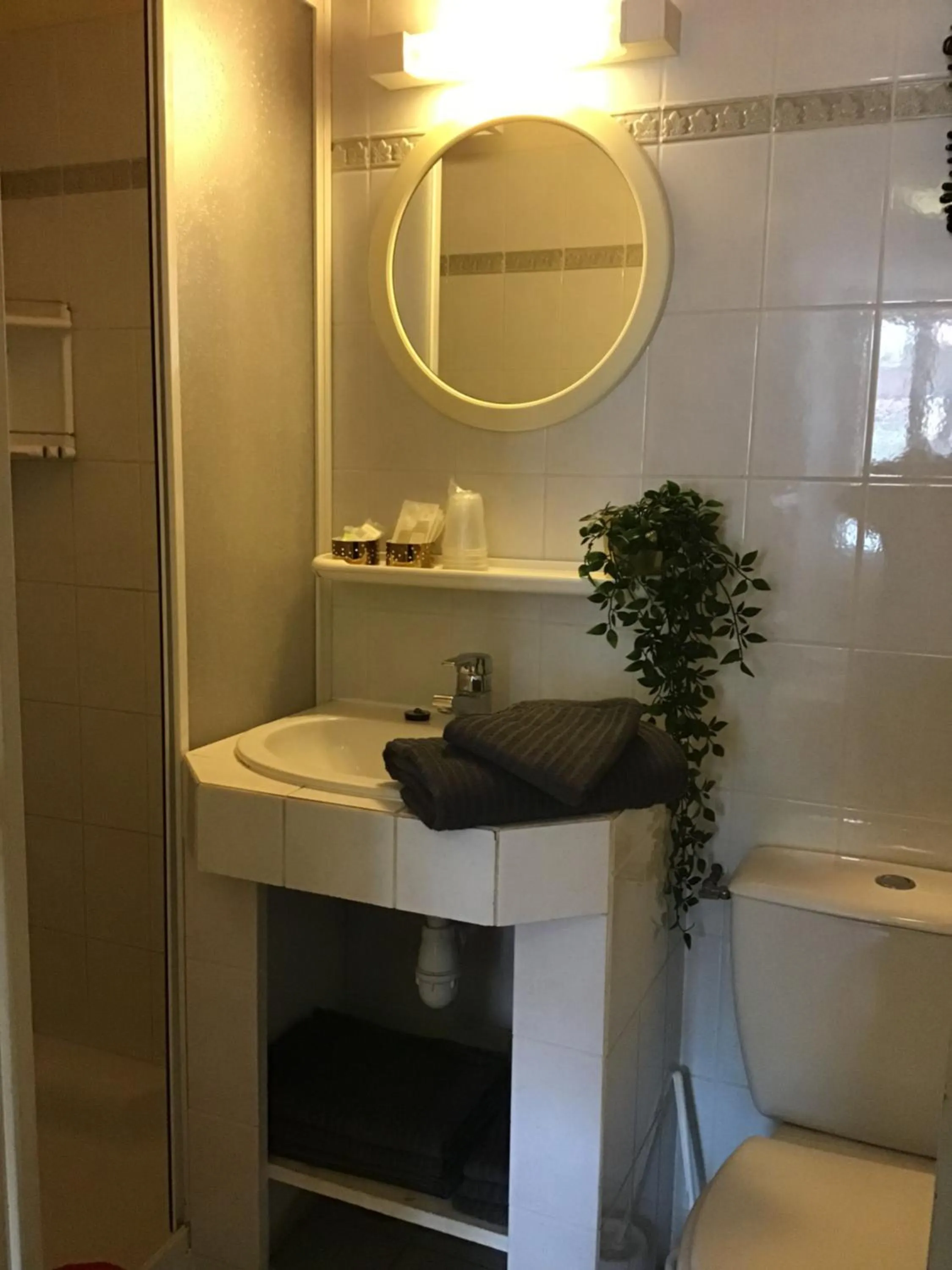 Bathroom in Les Gentianes