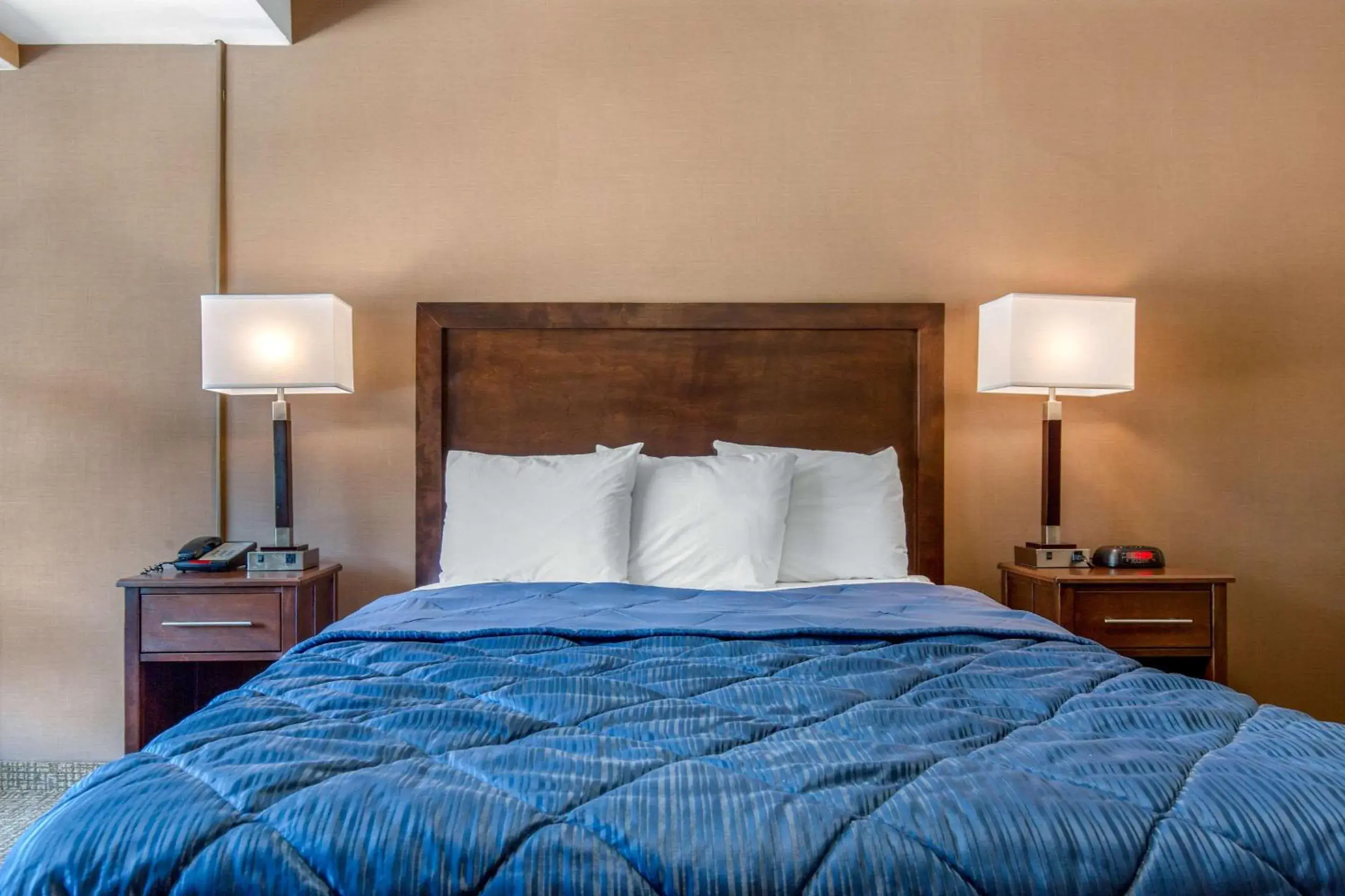 Photo of the whole room, Bed in Rodeway Inn Photo of the whole room, Bed in Rodeway Inn