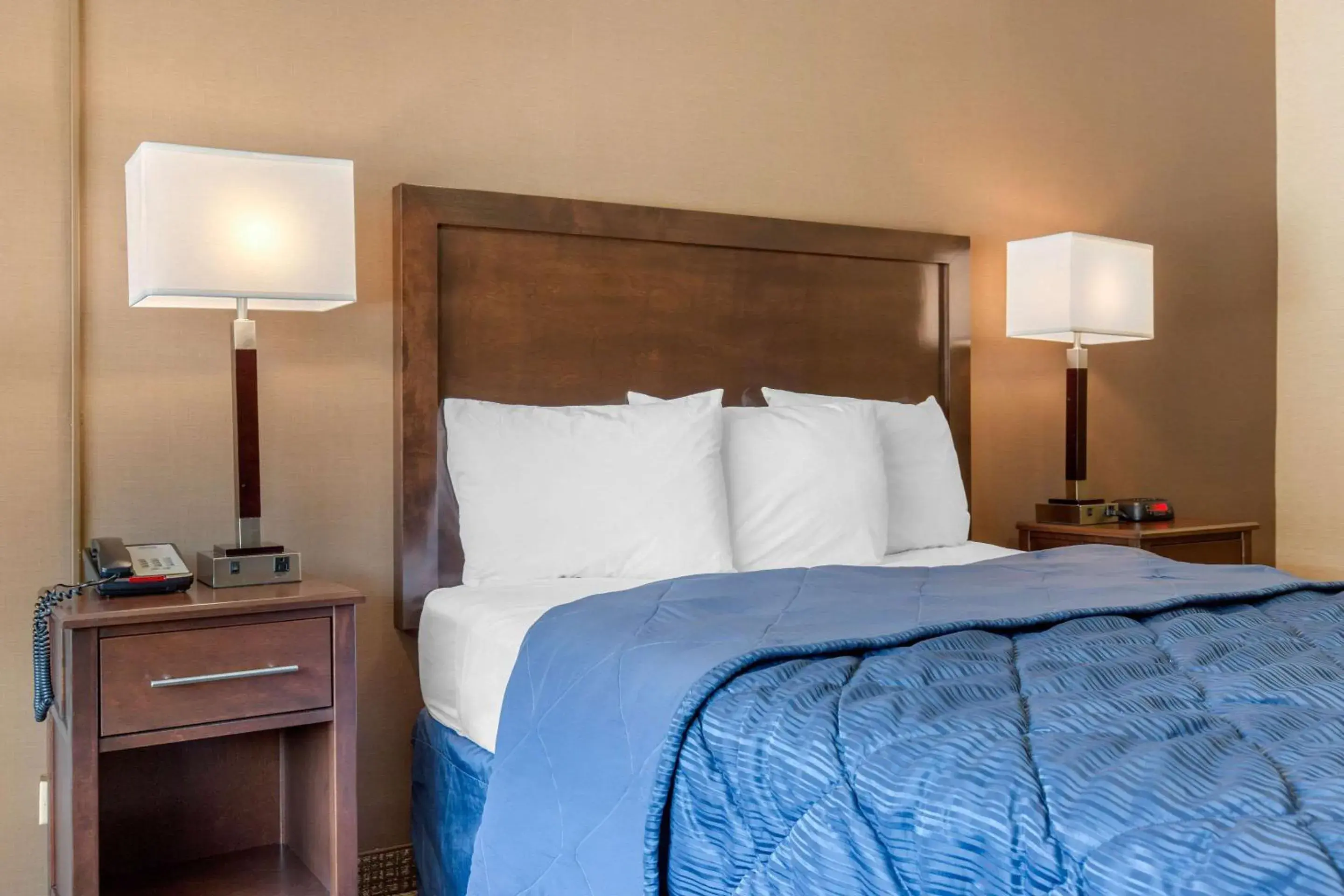 Photo of the whole room, Bed in Rodeway Inn Photo of the whole room, Bed in Rodeway Inn