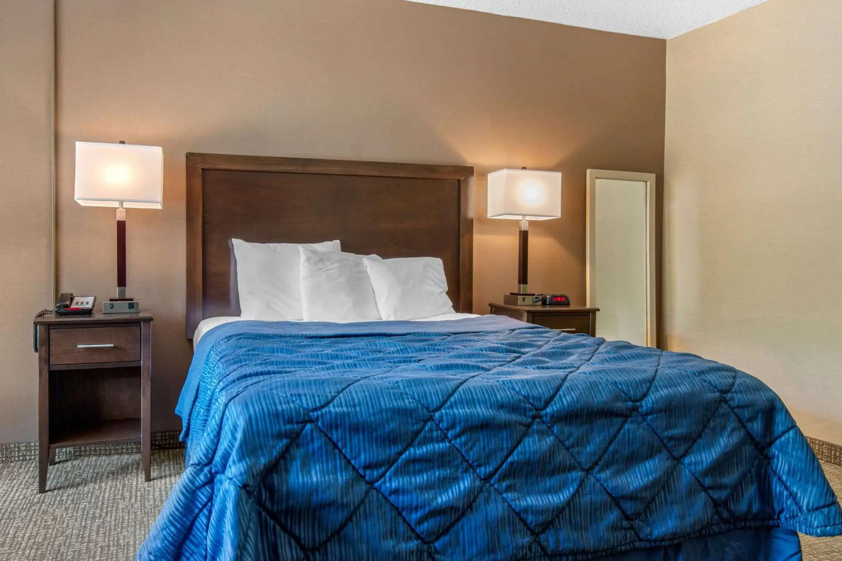 Photo of the whole room, Bed in Rodeway Inn Photo of the whole room, Bed in Rodeway Inn