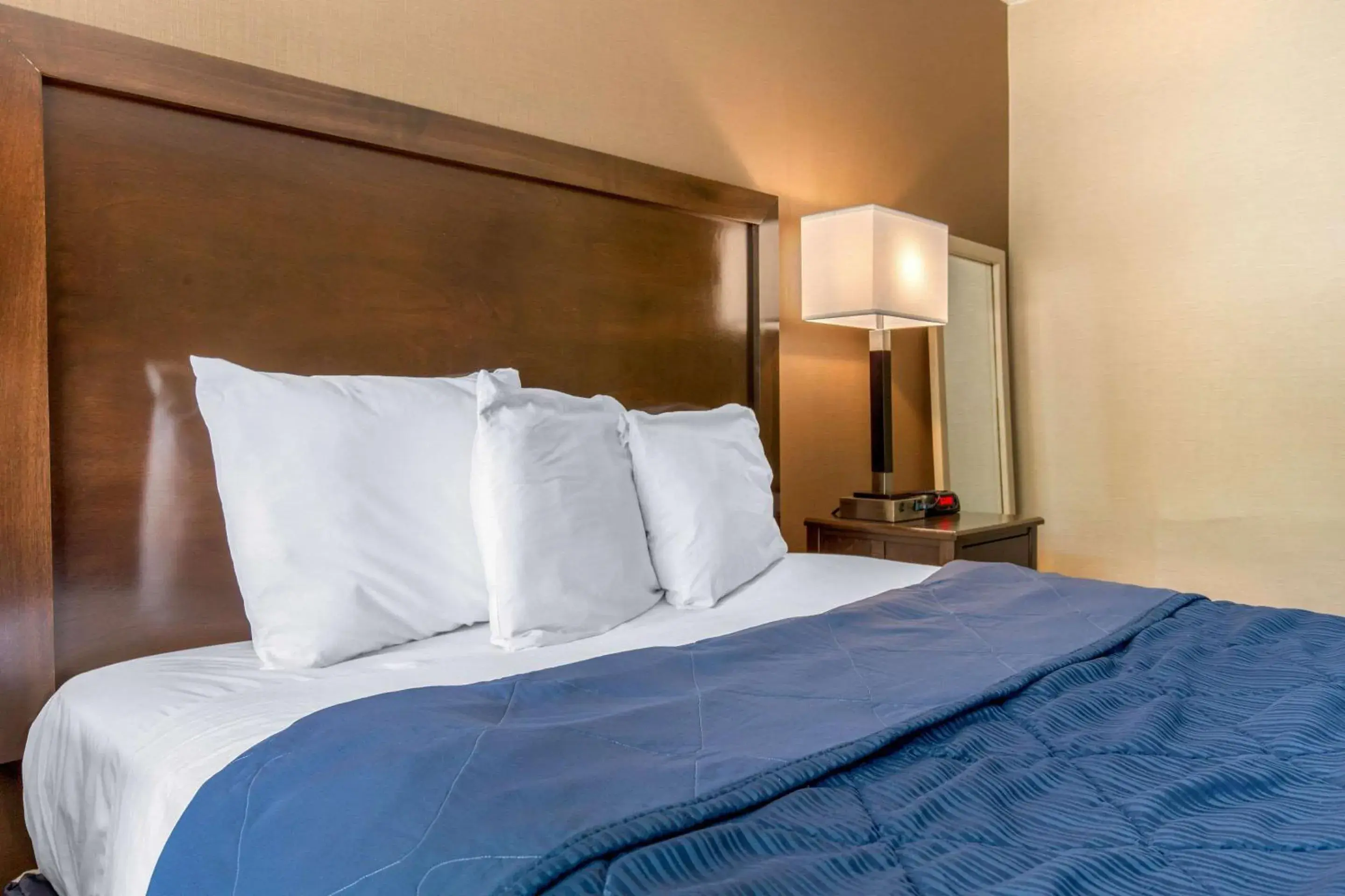 Photo of the whole room, Bed in Rodeway Inn Photo of the whole room, Bed in Rodeway Inn