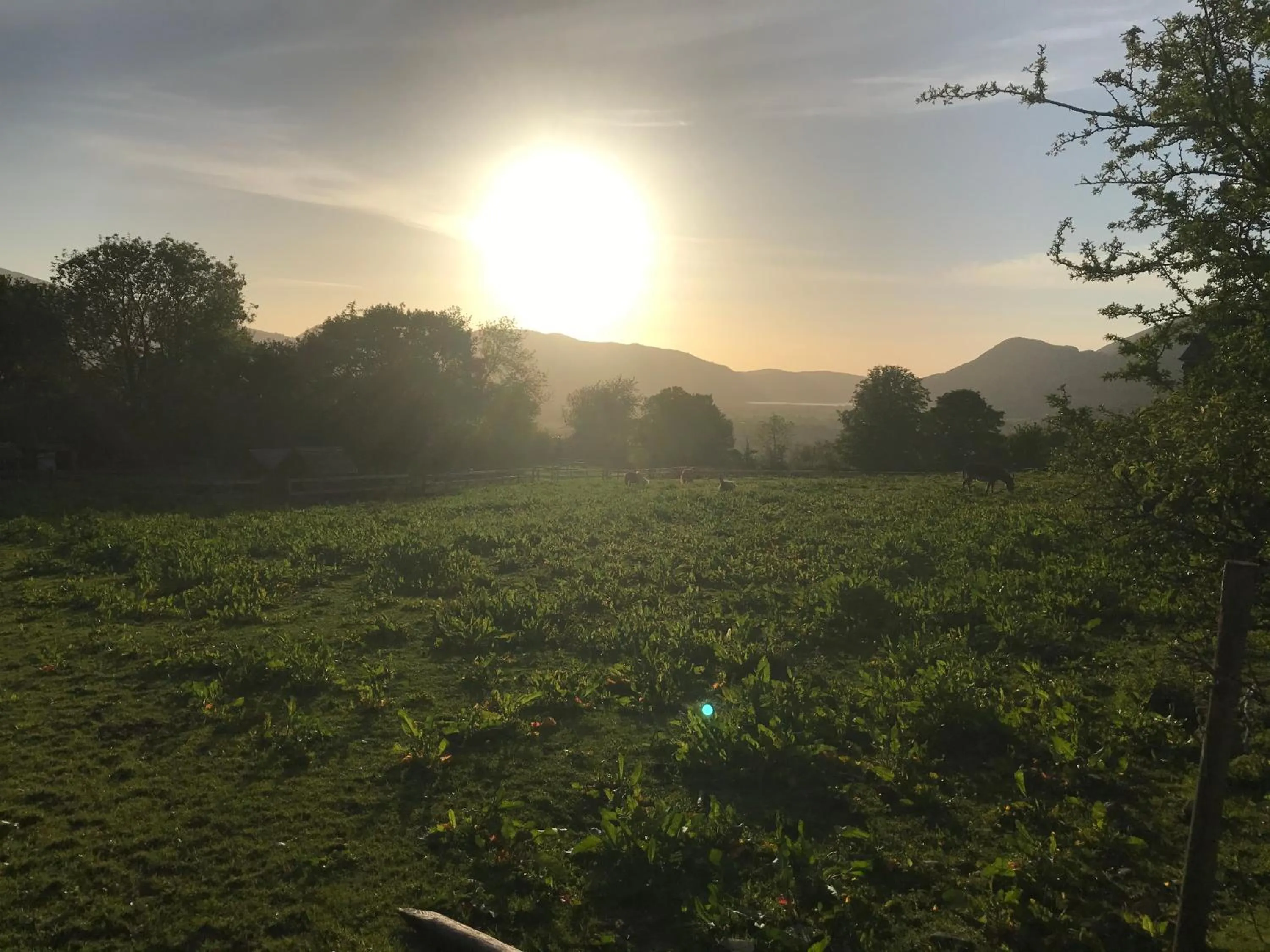 Claremont House Keswick