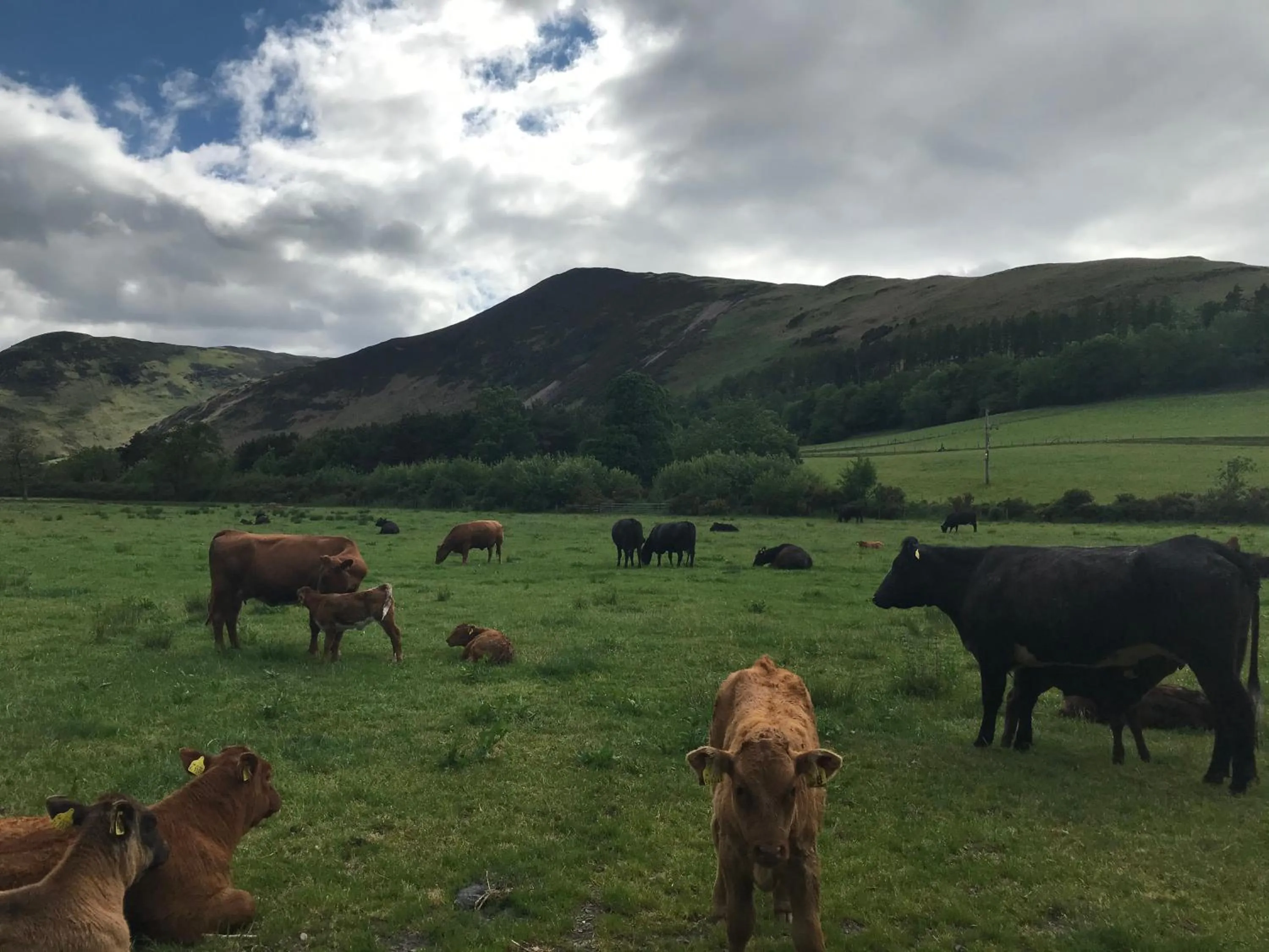 Claremont House Keswick