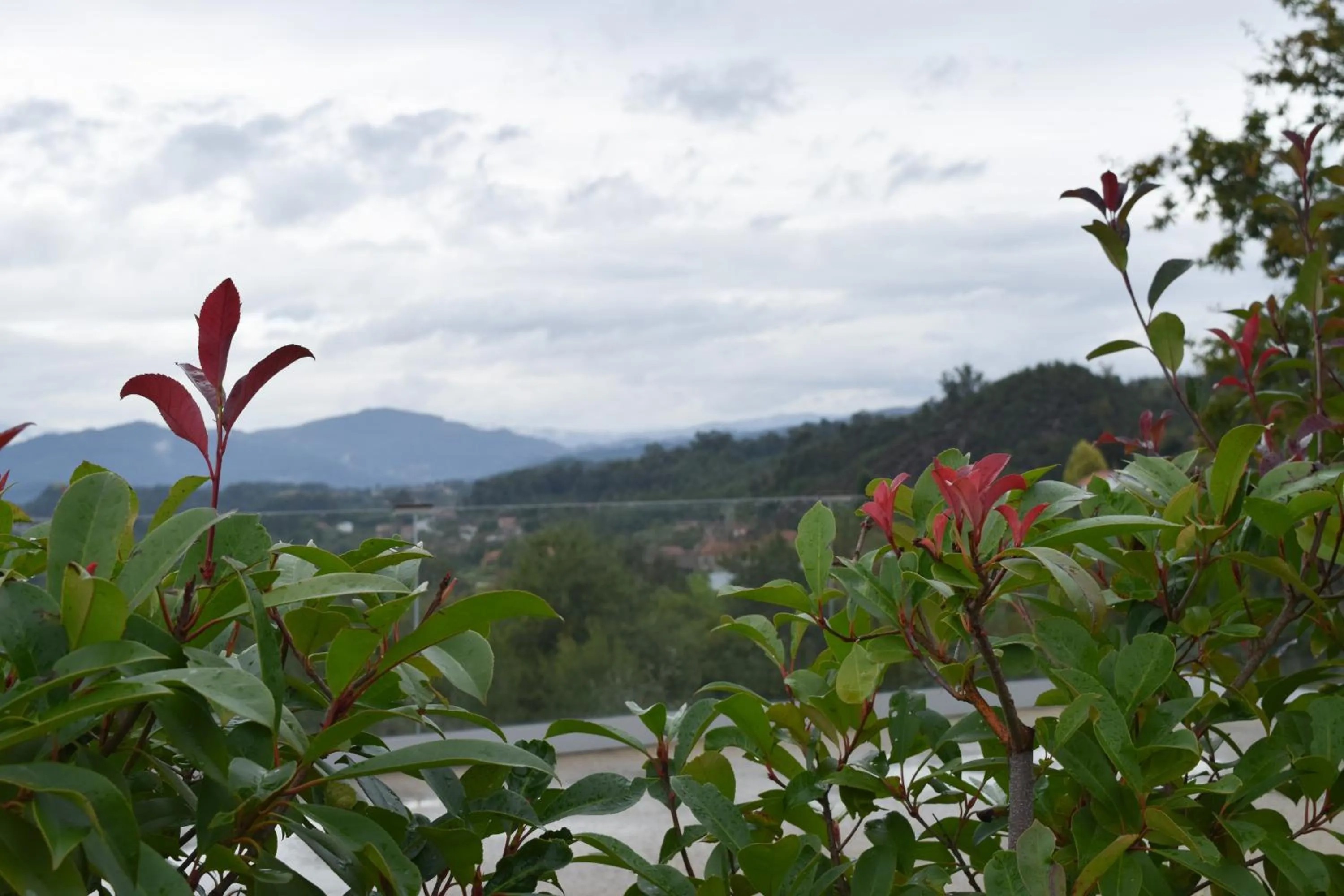 Natural landscape in Hotel Nande