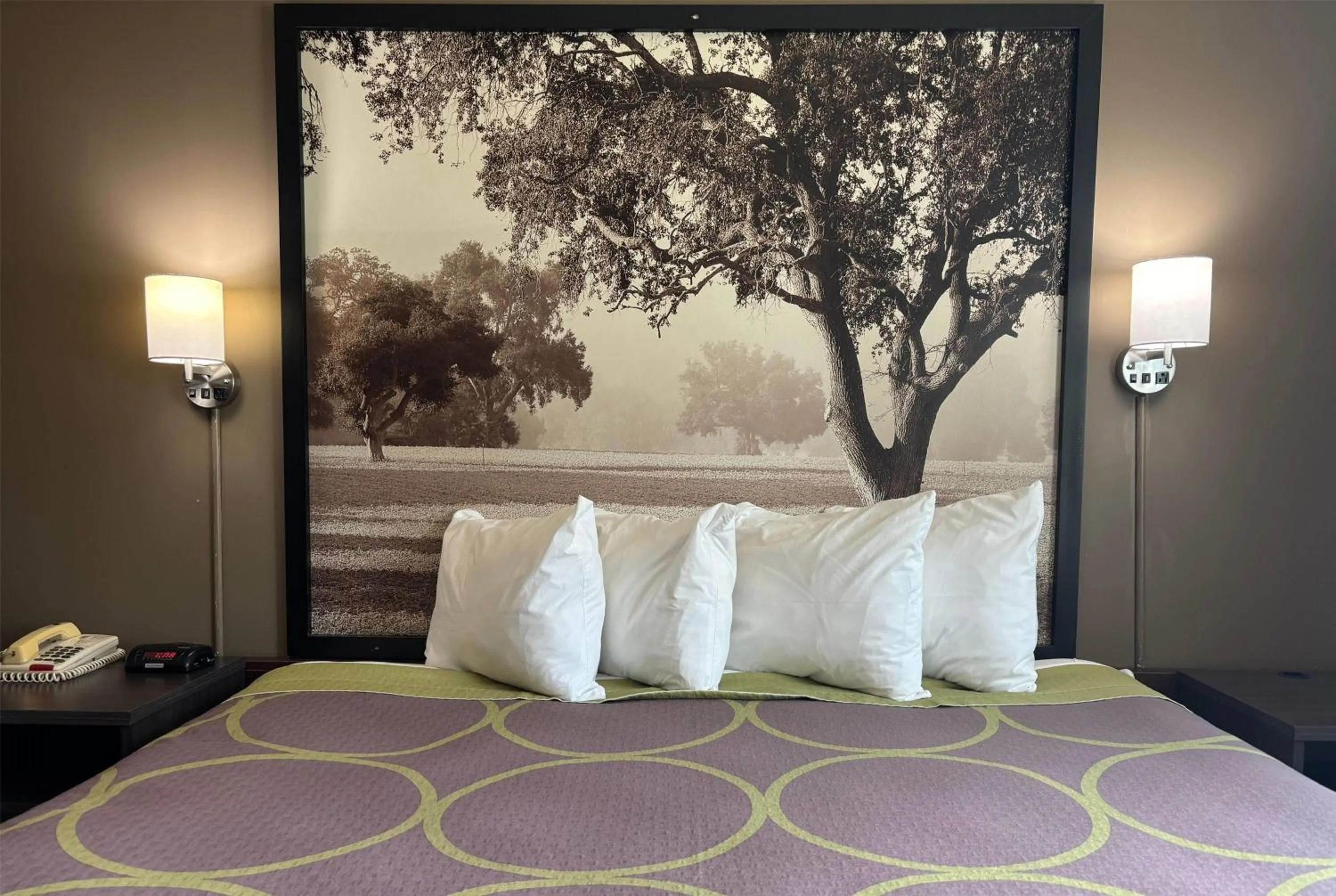 Photo of the whole room, Bed in Super 8 by Wyndham Grayville