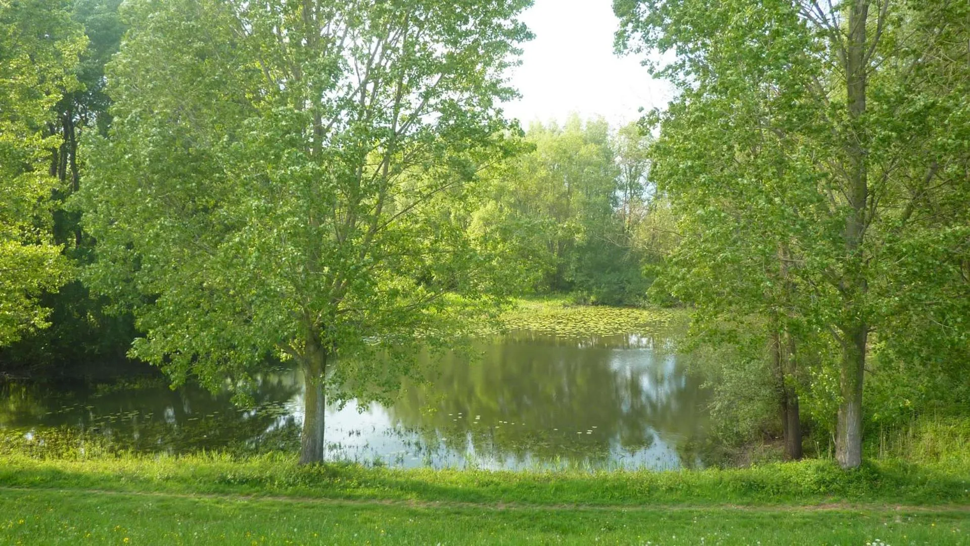Natural landscape in De Slaapmus
