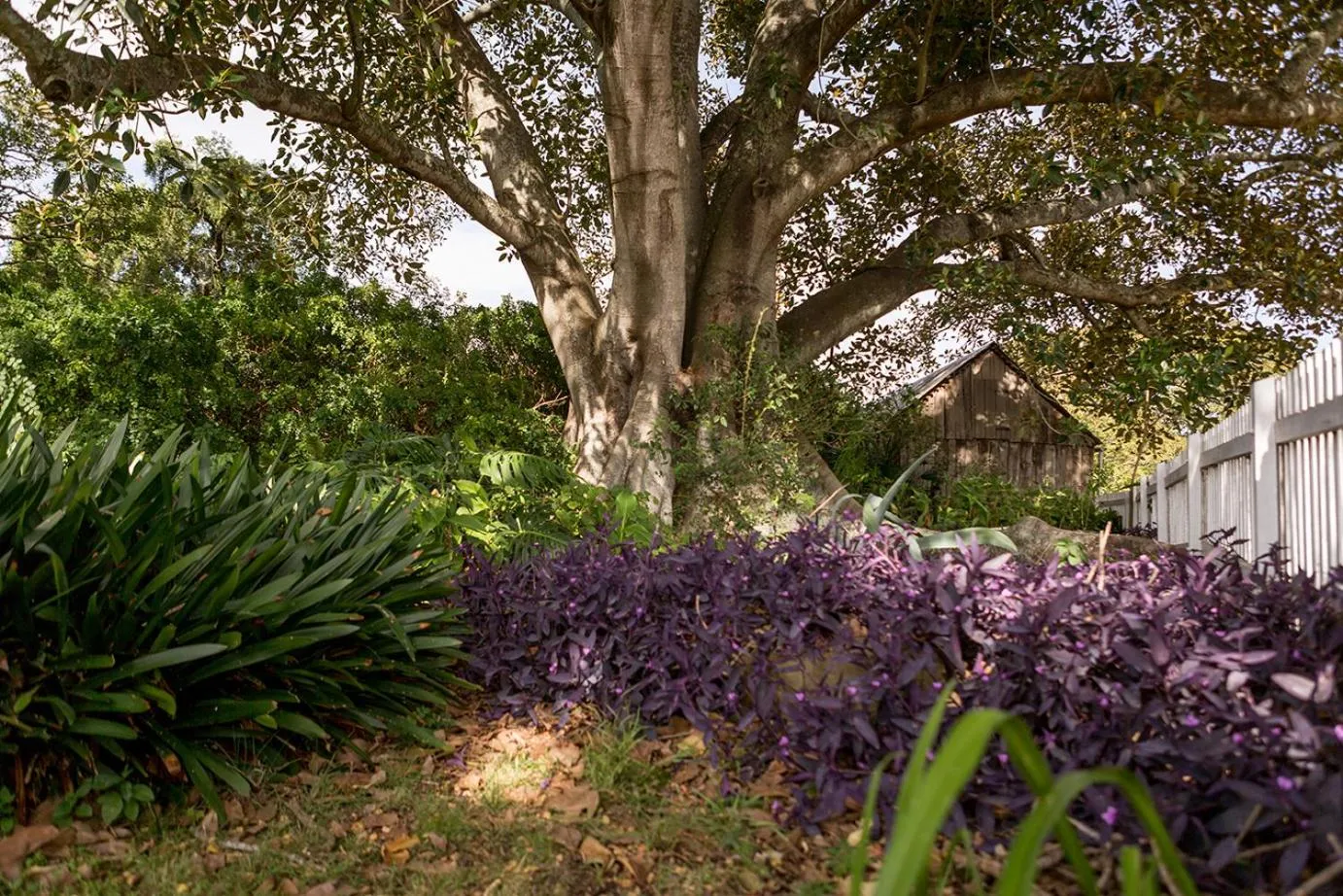 Natural landscape in The Barracks, Tocal