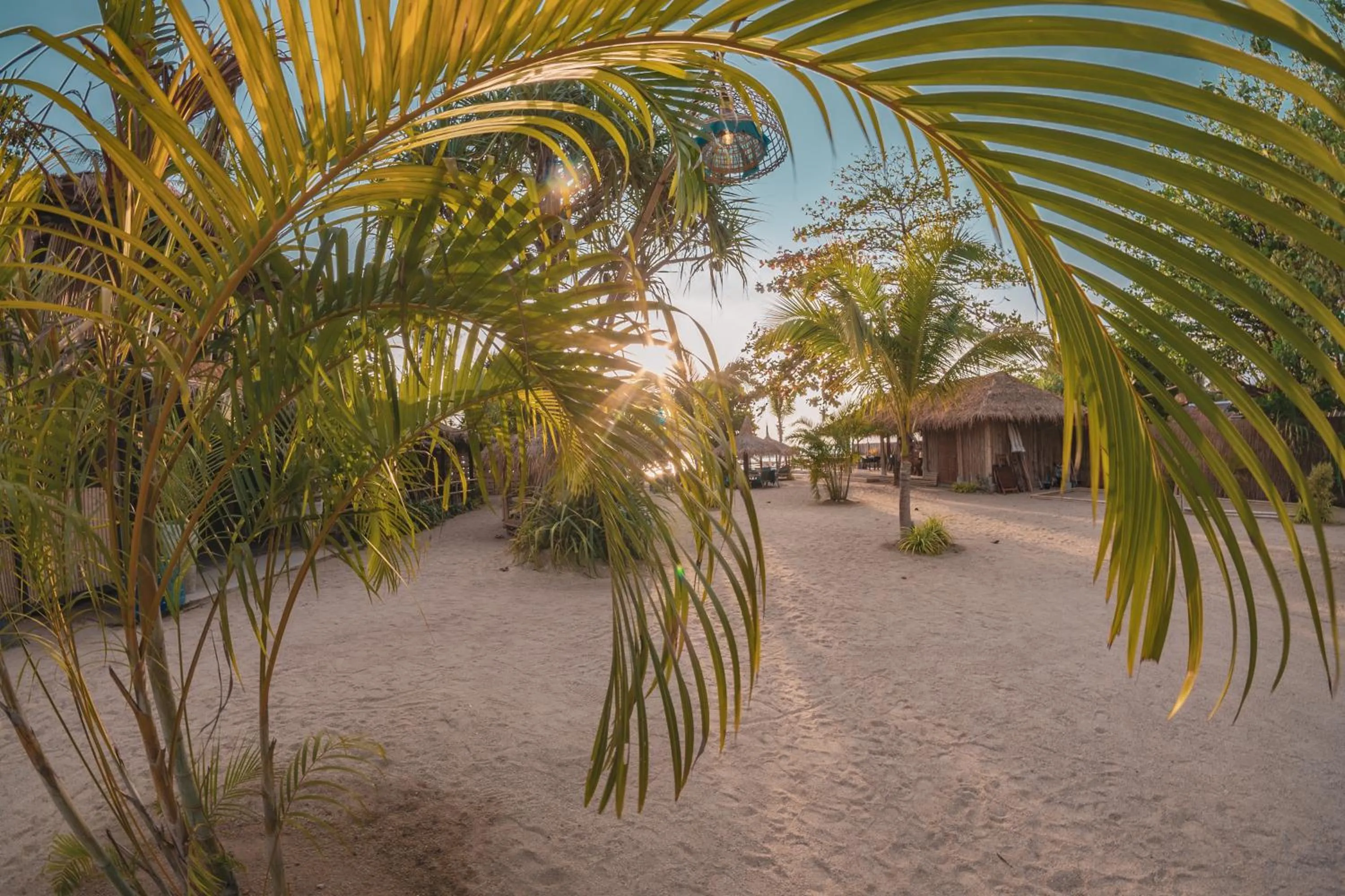 Garden in The Lazy Lodge