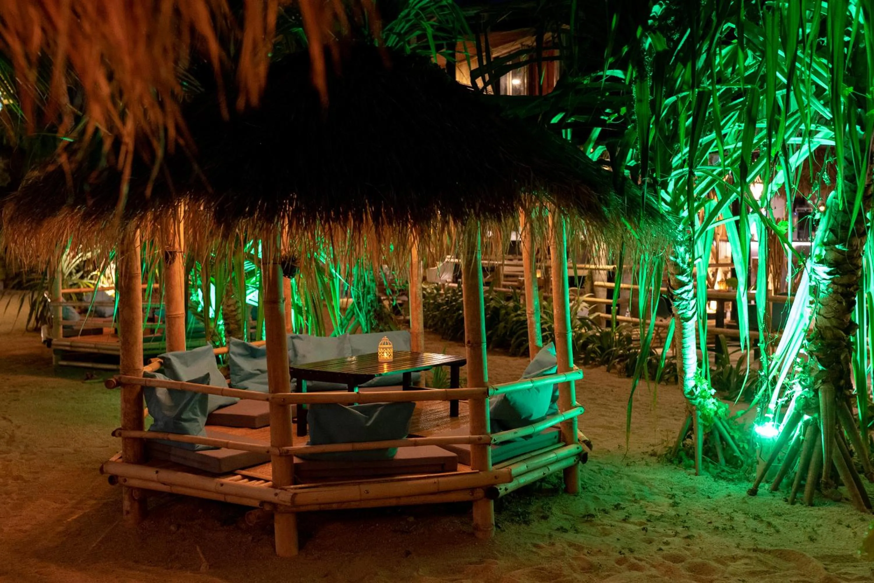 Garden in The Lazy Lodge