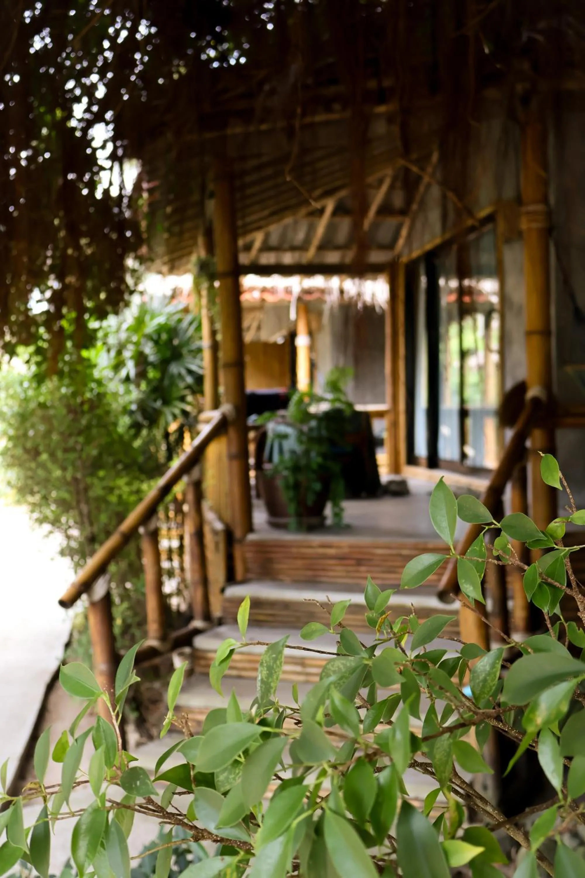 Balcony/Terrace in The Lazy Lodge