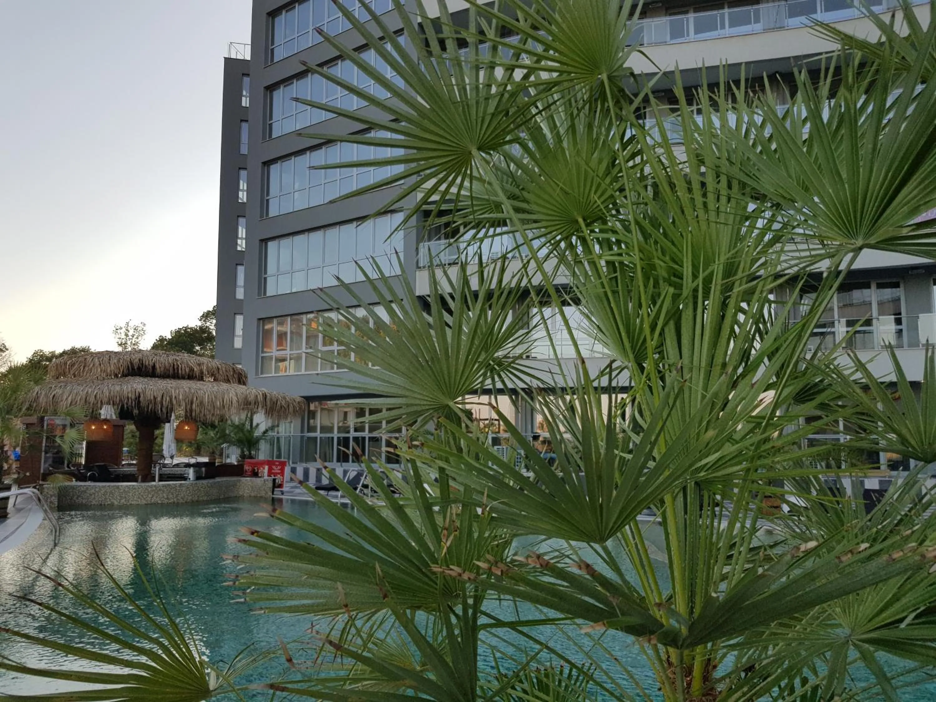 Beach in Allure Beach Resort Aparthotel