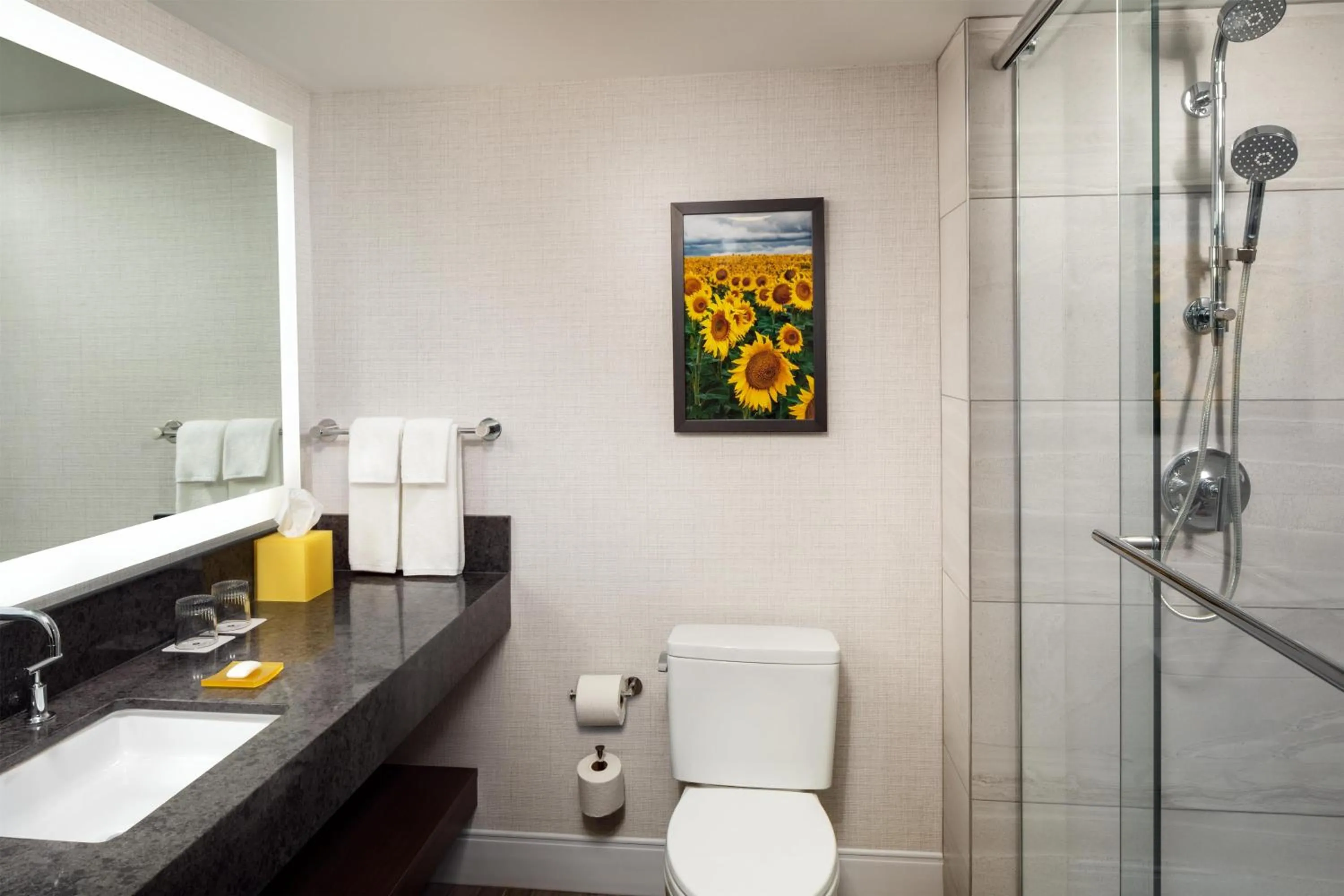 Bathroom in Hyatt Regency Wichita