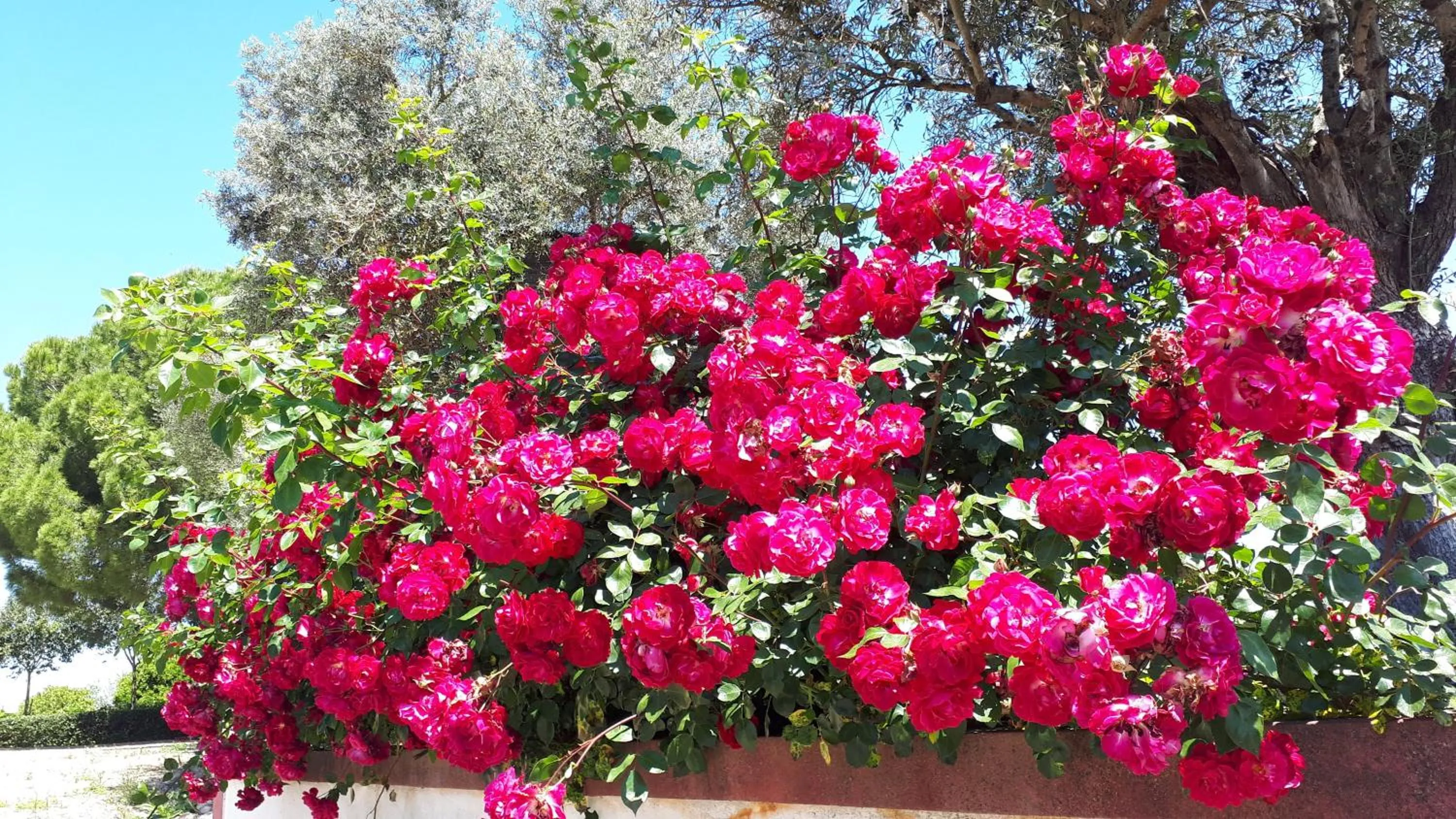 Monte da Floresta B&B