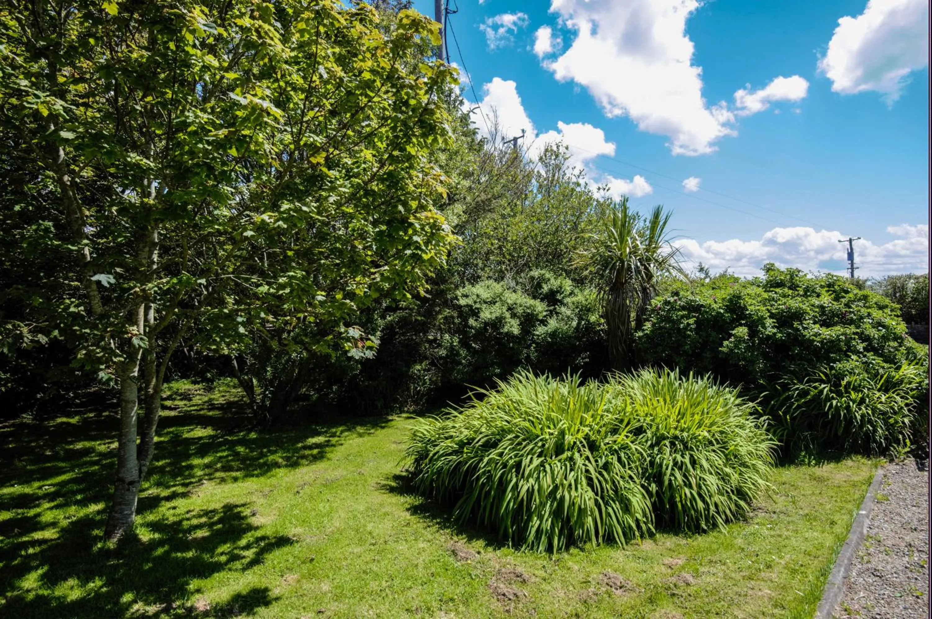 Garden in BlueTit Lodge