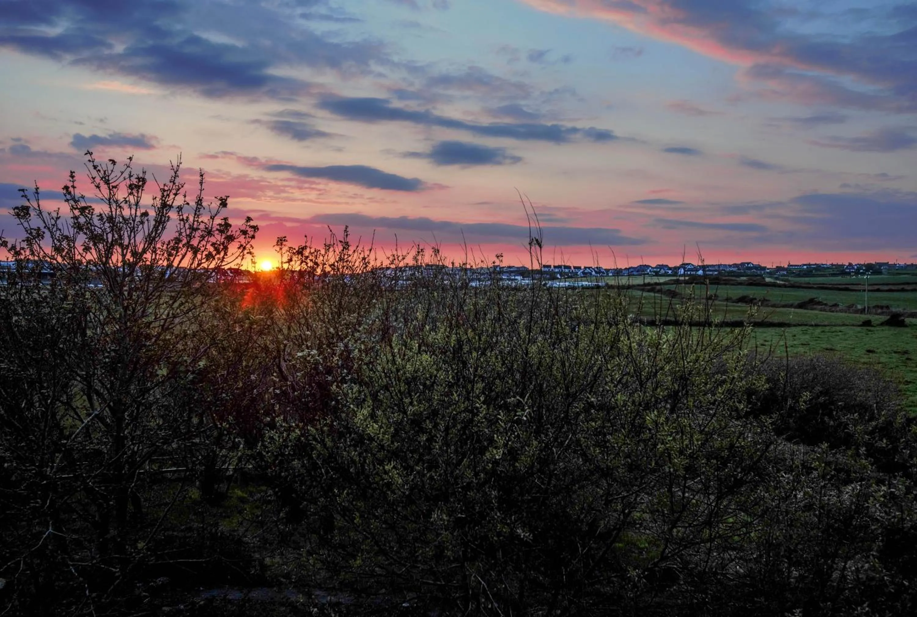 Natural landscape in BlueTit Lodge