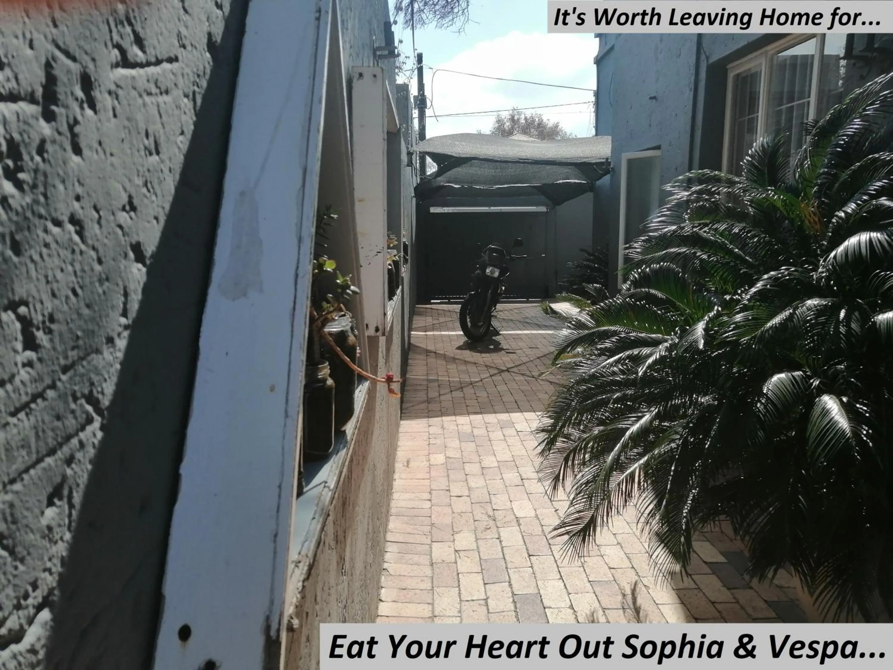 Patio in Charlie's Spot - Norwood