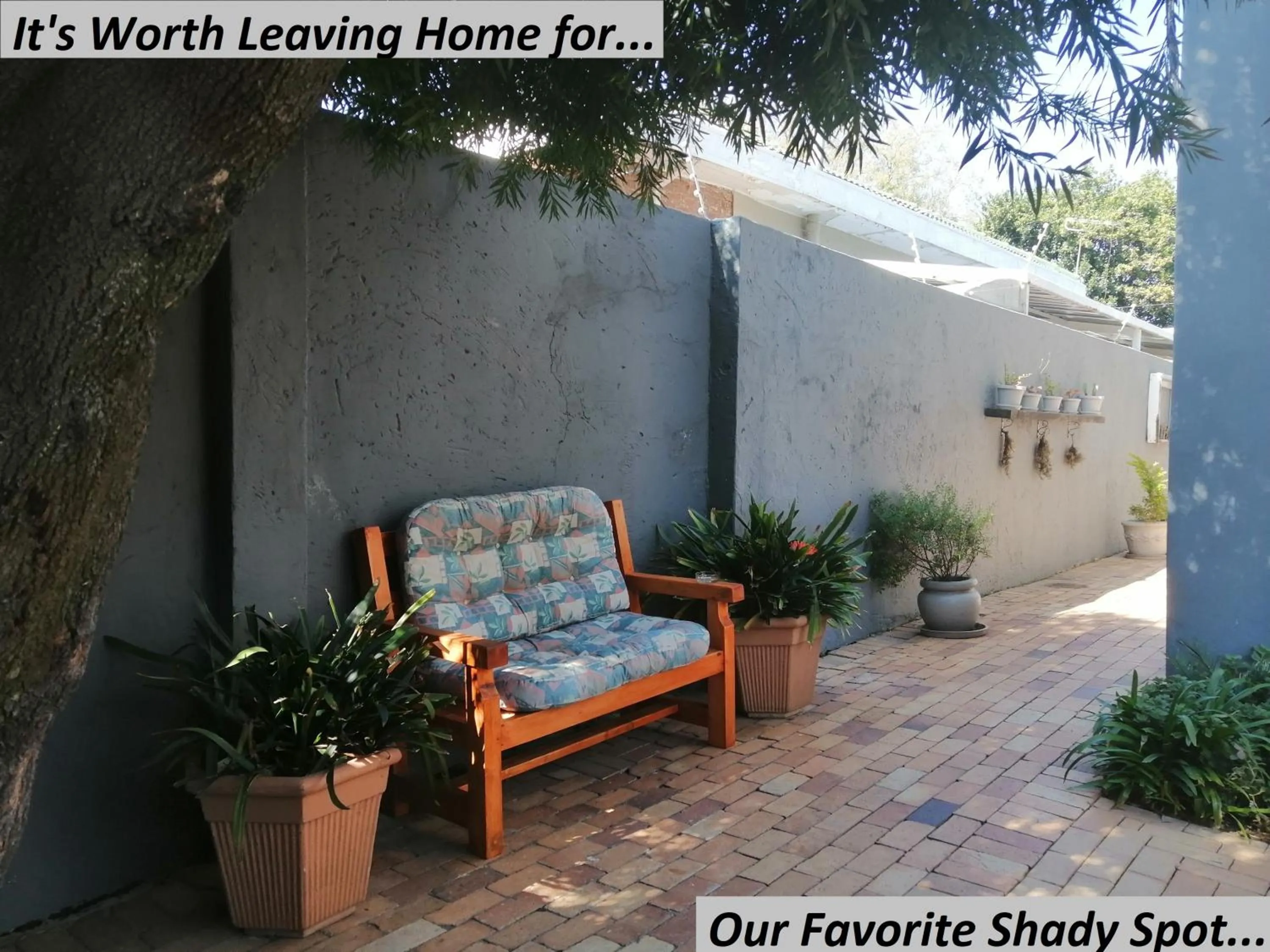 Patio in Charlie's Spot - Norwood