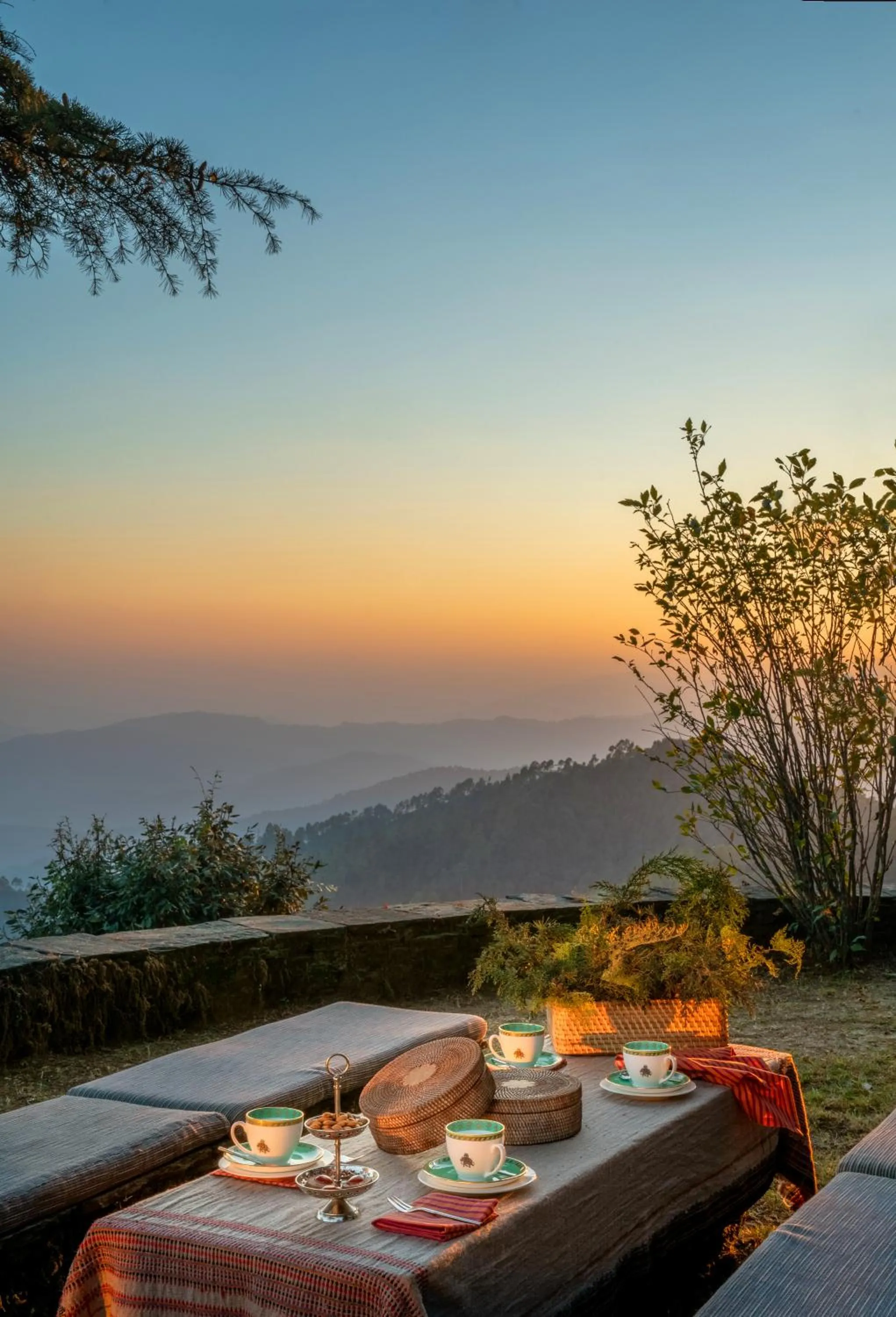 Food close-up in Mary Budden Estate