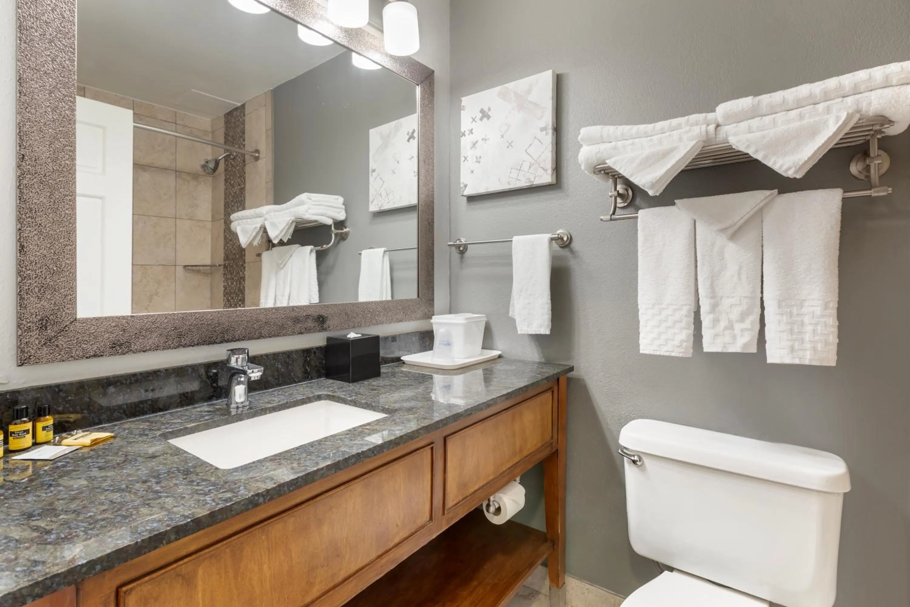 Bathroom in Best Western Plus Milwaukee West