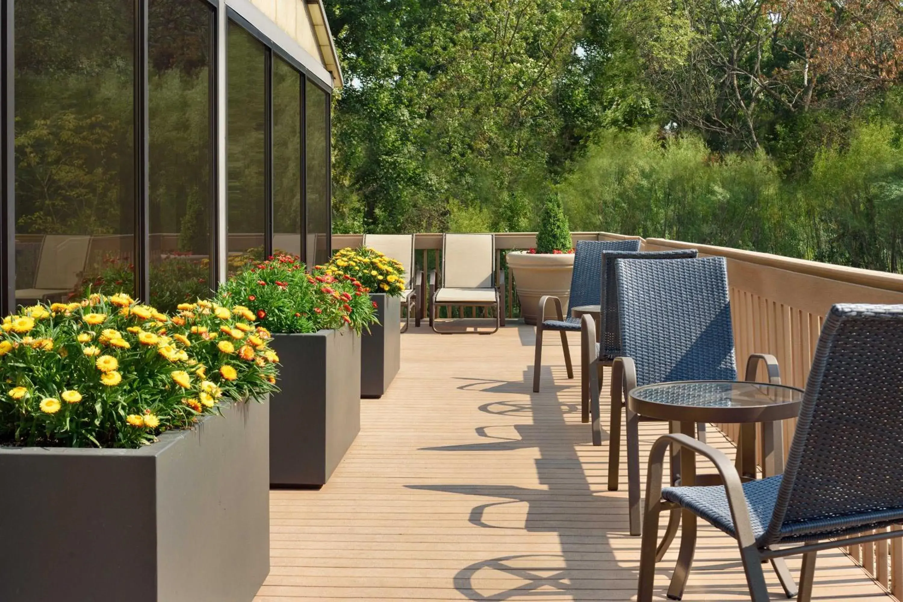 Swimming pool in Sheraton Madison Hotel Swimming pool in Sheraton Madison Hotel