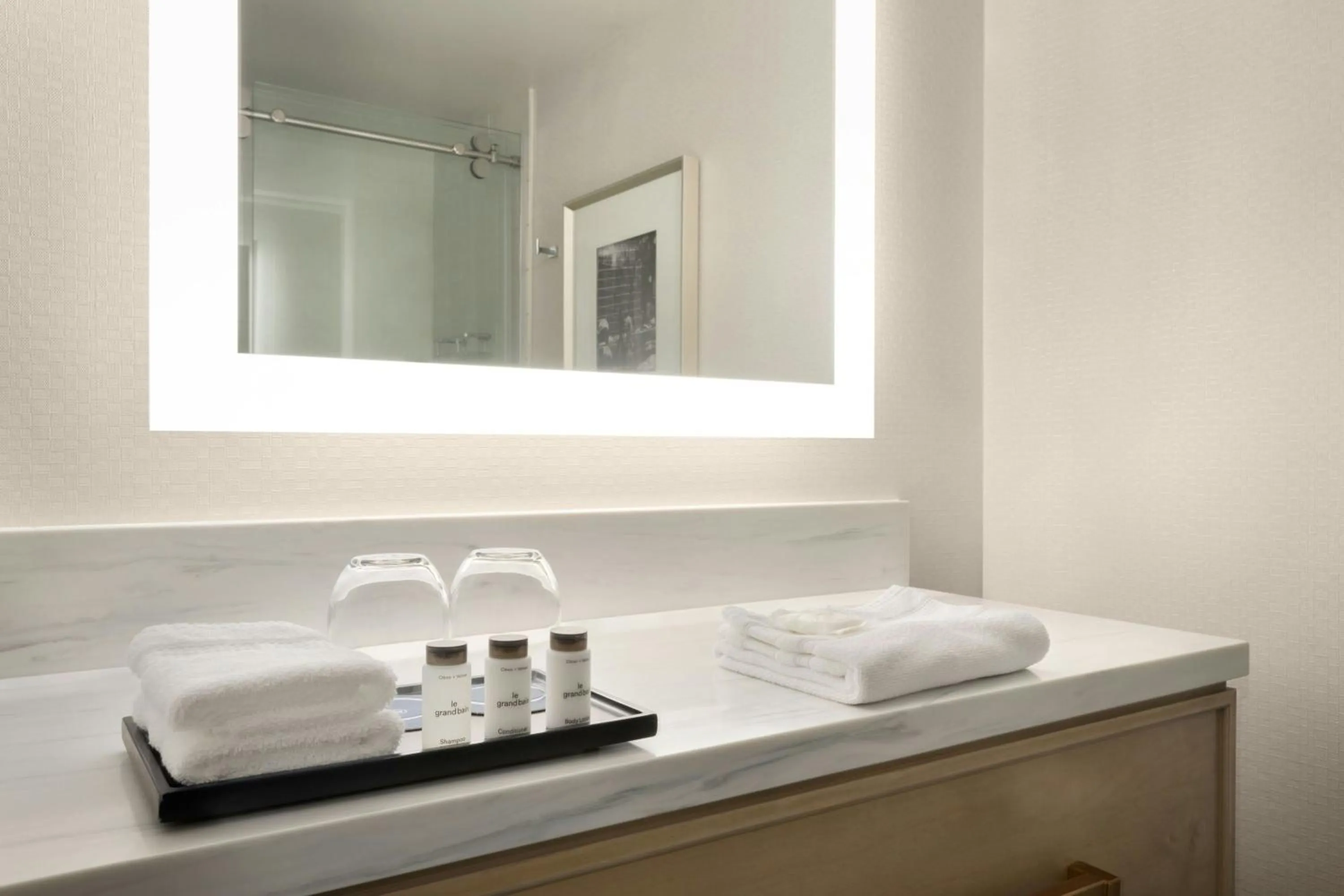 Bathroom in Madison Marriott South