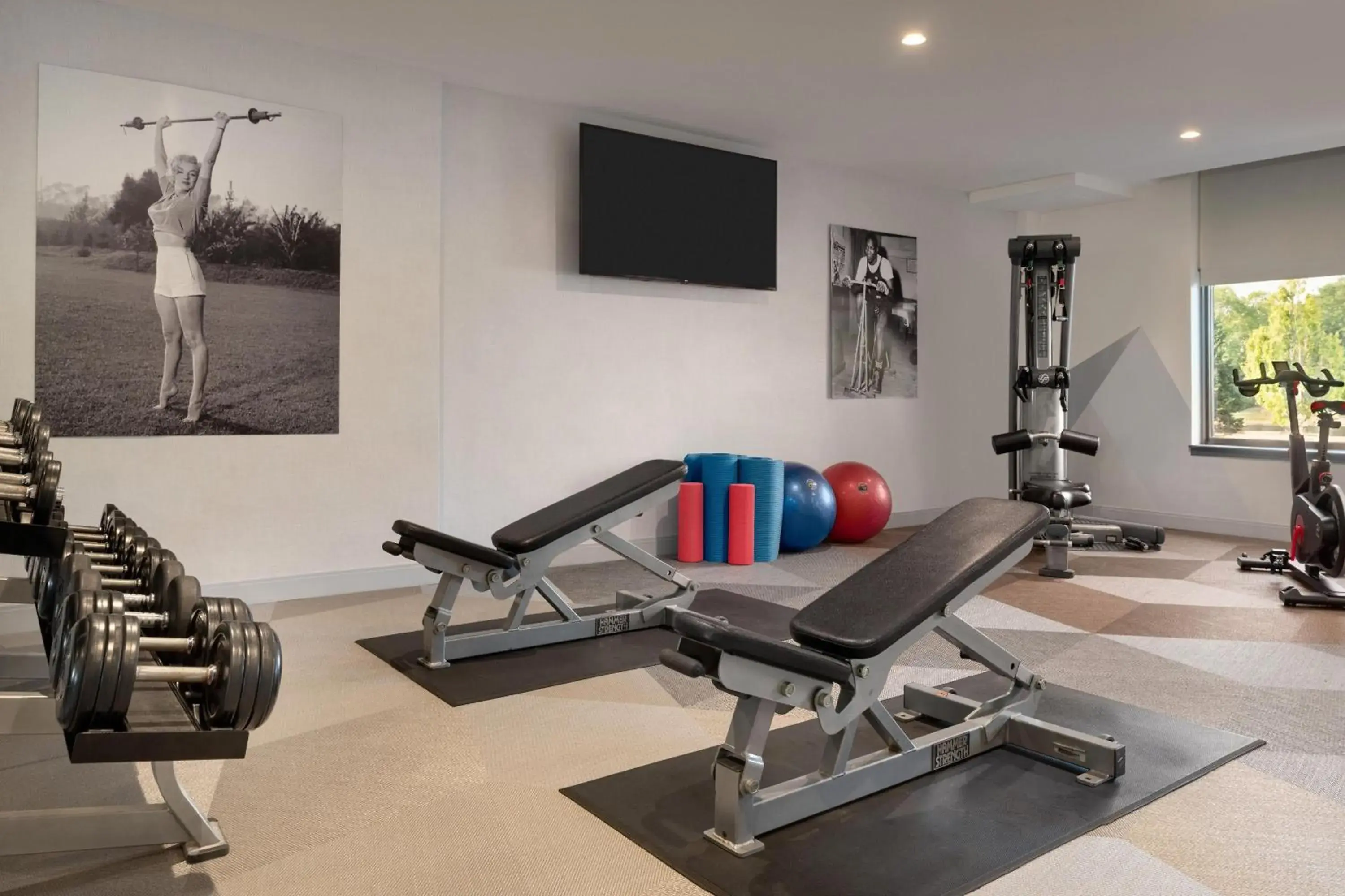 Fitness centre/facilities in Sheraton Madison Hotel Fitness centre/facilities in Sheraton Madison Hotel