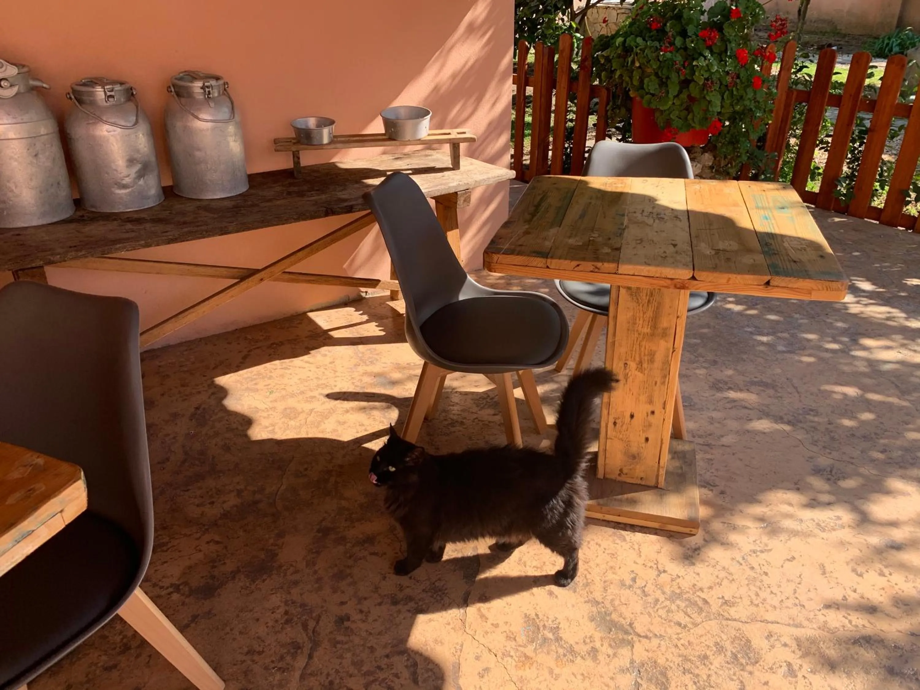 Selene Domus Collection