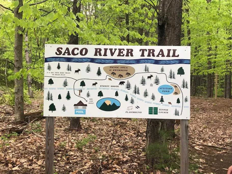 Attitash Mountain Village Studio - Slope View - Ski - Storyland