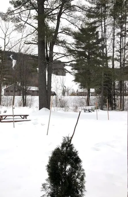 Attitash Mountain Village Studio - Slope View - Ski - Storyland