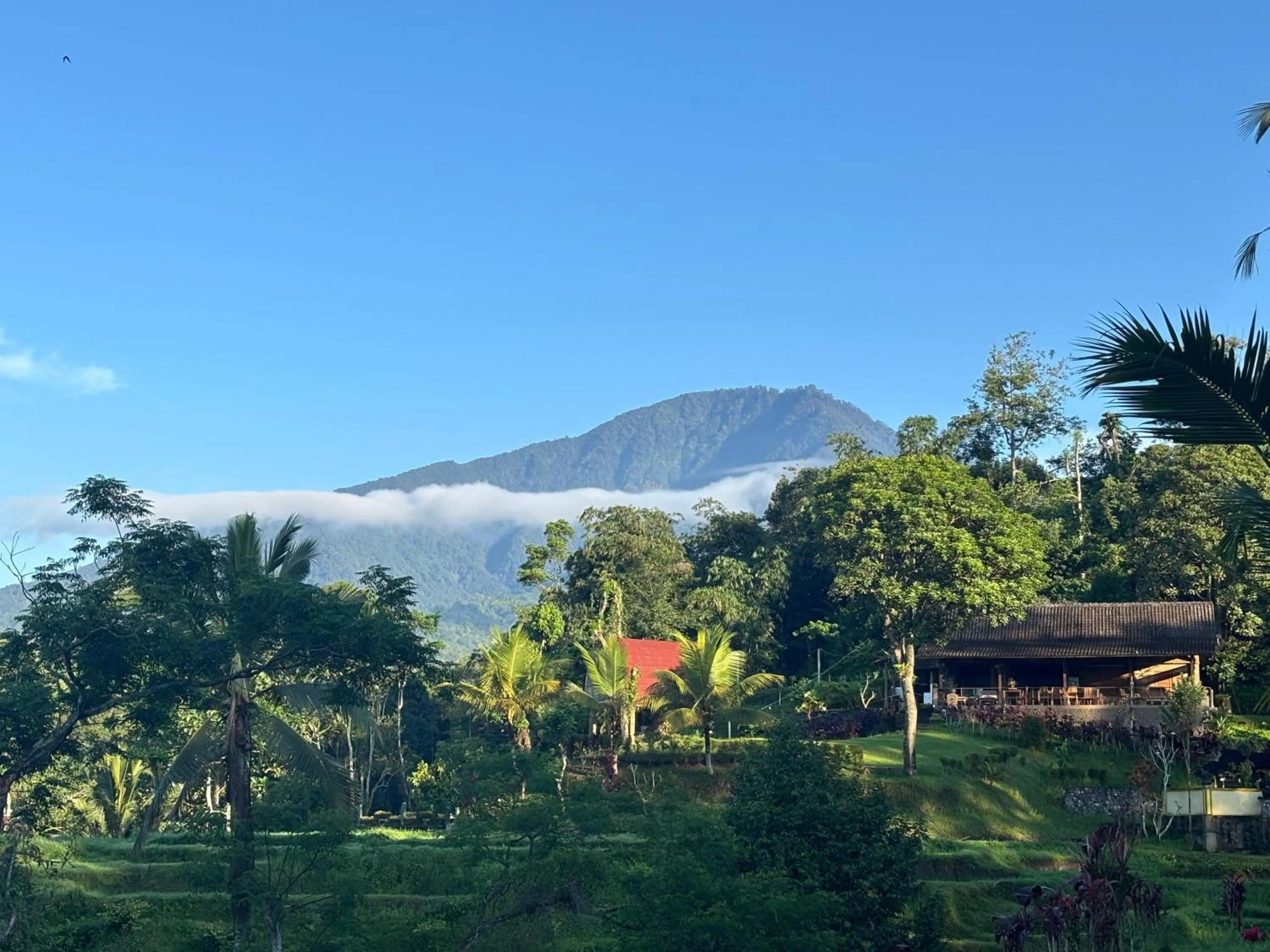 View (from property/room) in Sang Tirta Resort