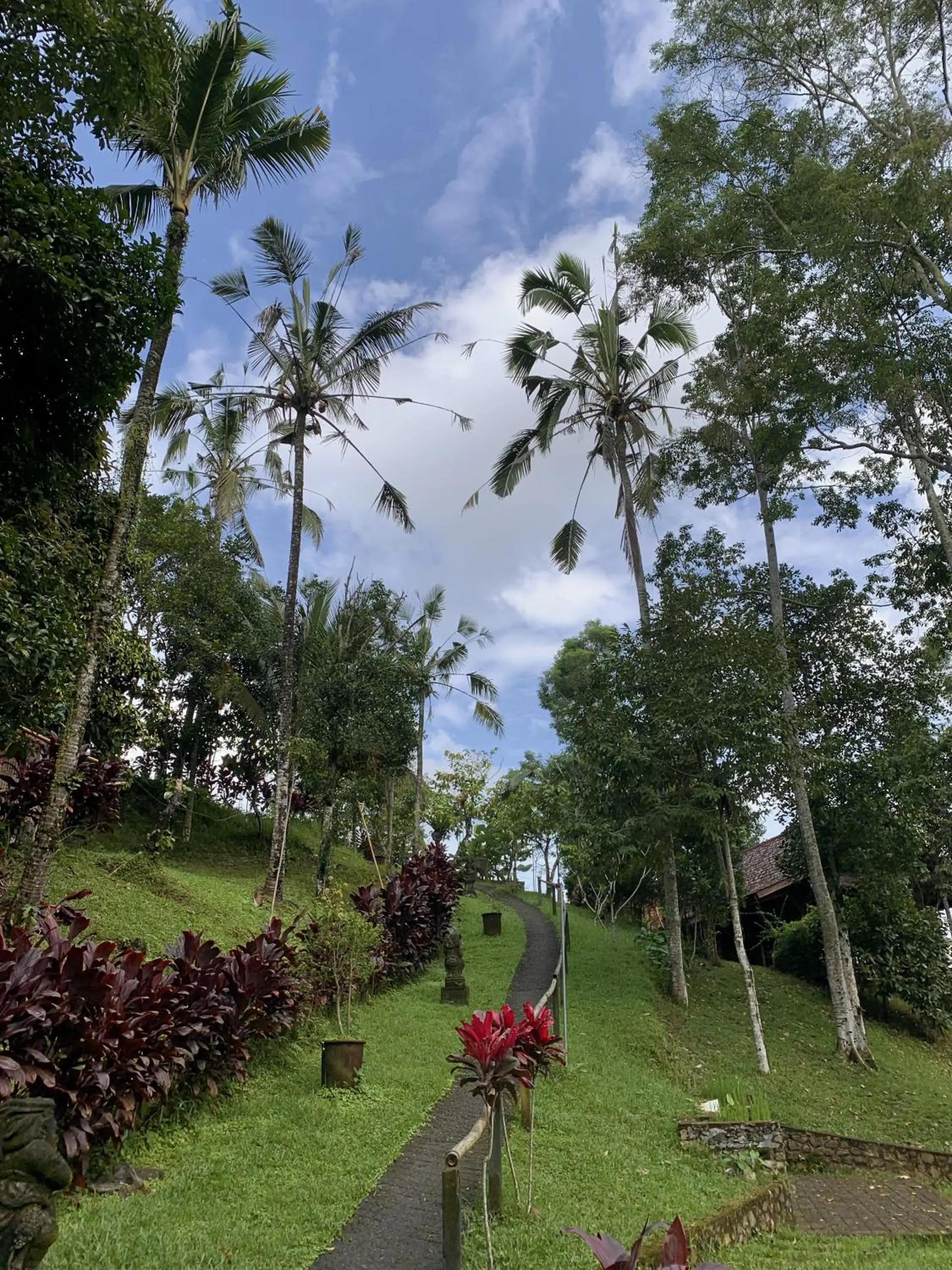 Garden in Sang Tirta Resort
