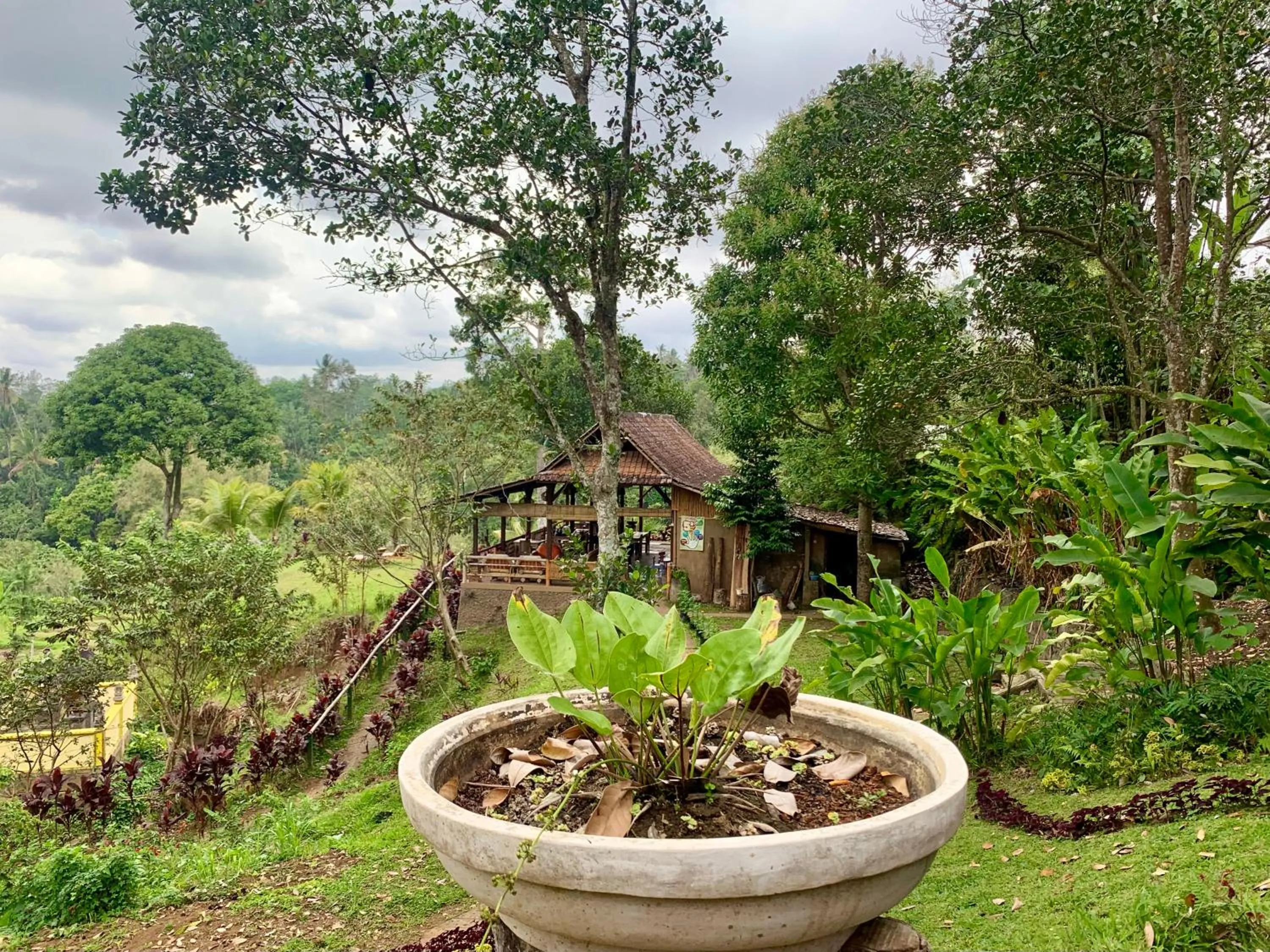 Garden in Sang Tirta Resort
