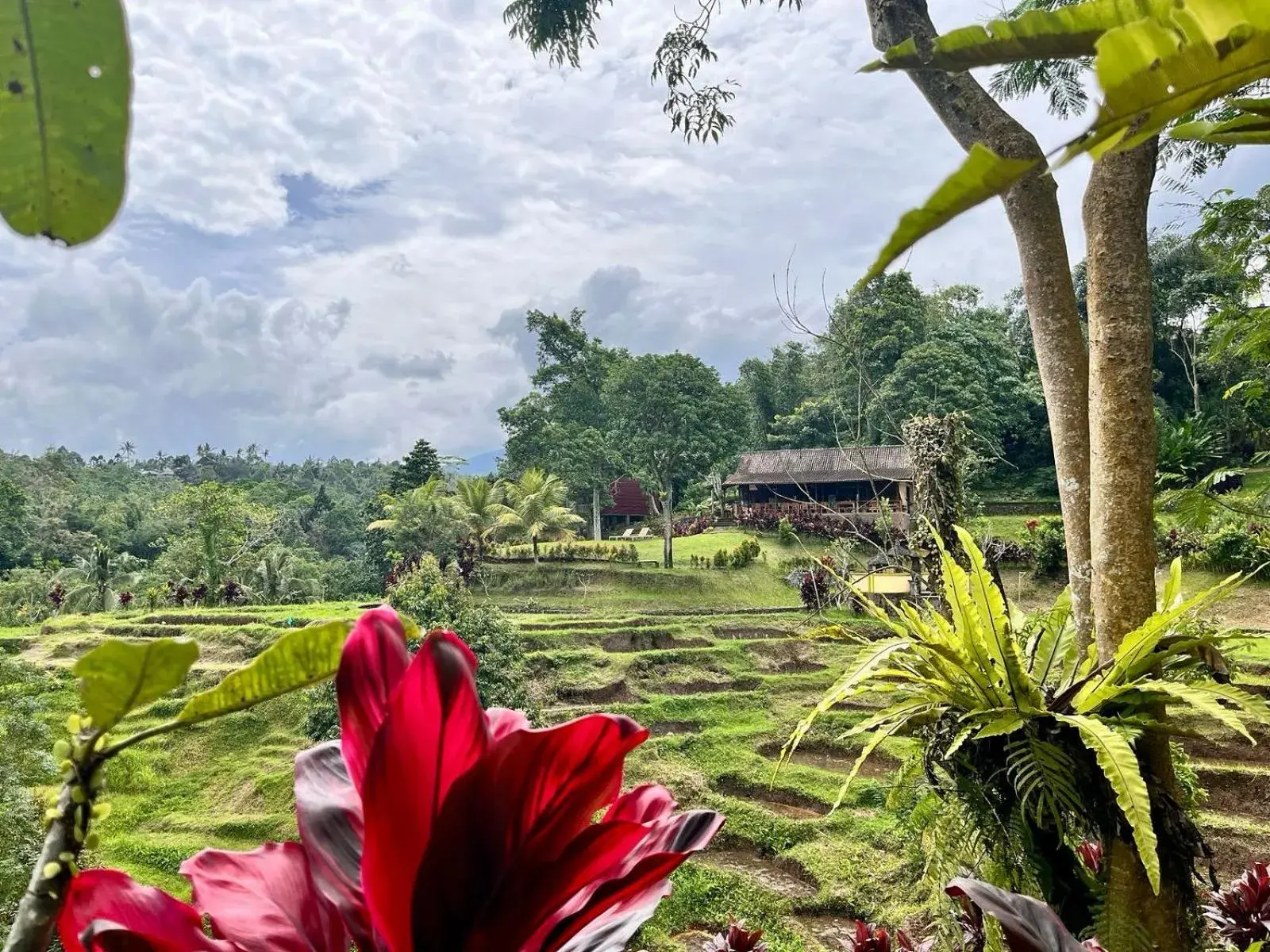 Restaurant/places to eat in Sang Tirta Resort Restaurant/places to eat in Sang Tirta Resort