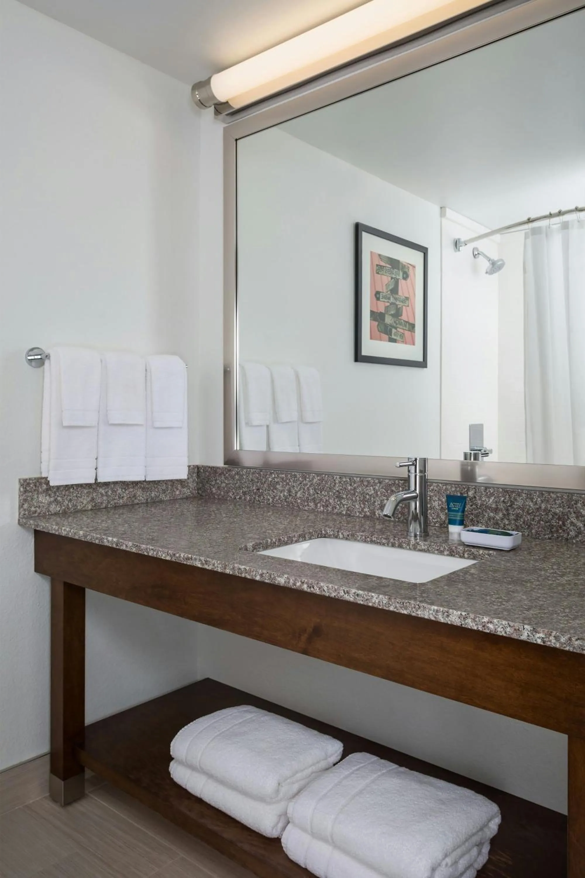 Bathroom in Four Points by Sheraton Buffalo Grove