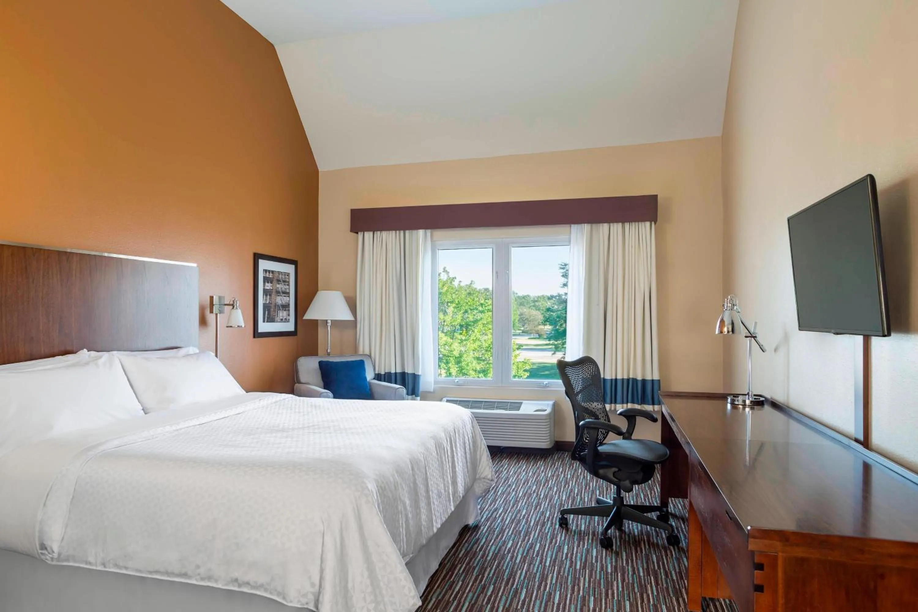 Photo of the whole room, Bed in Four Points by Sheraton Buffalo Grove