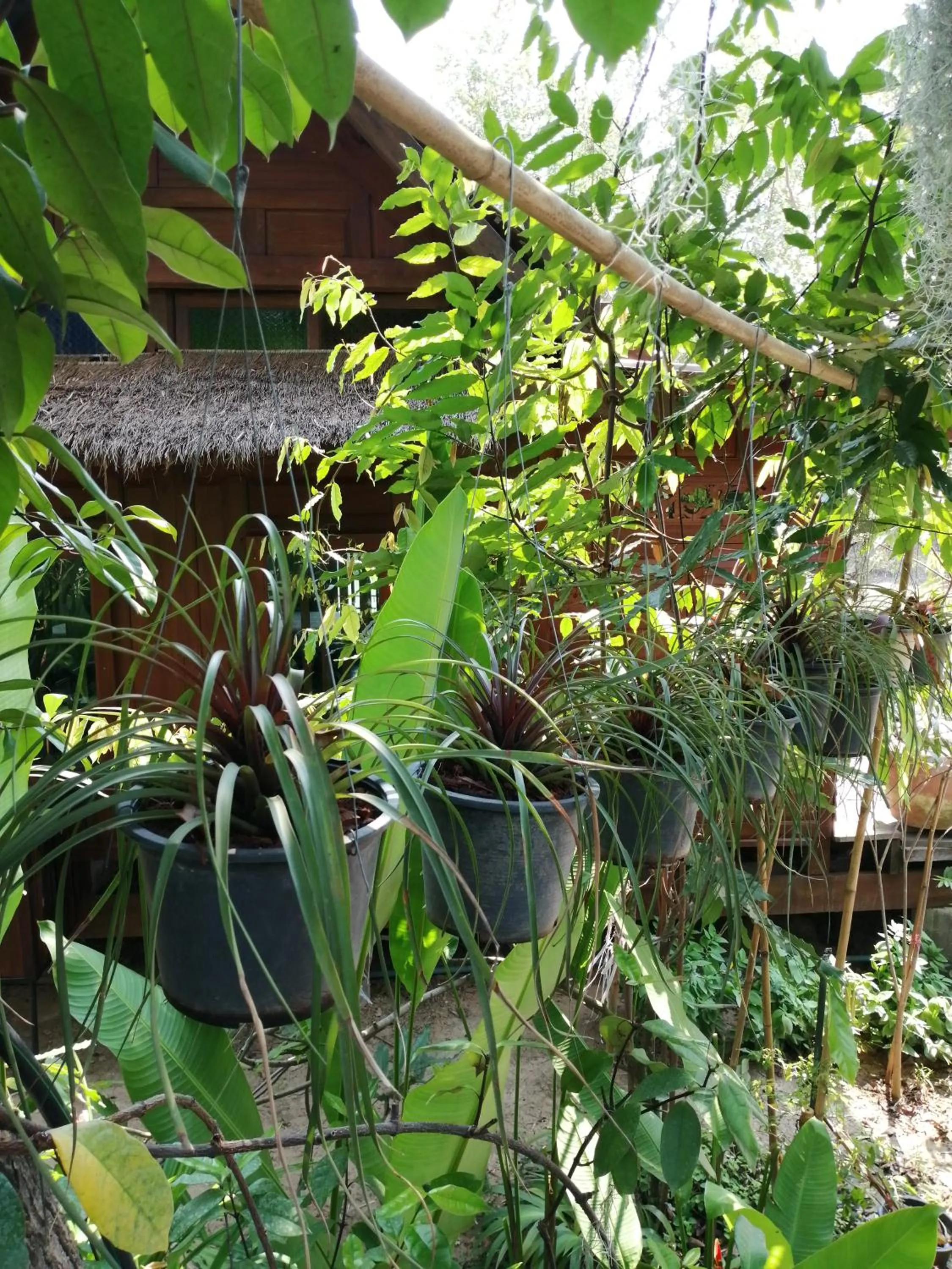 Property building in Rustic​ Charm​ Suphan​