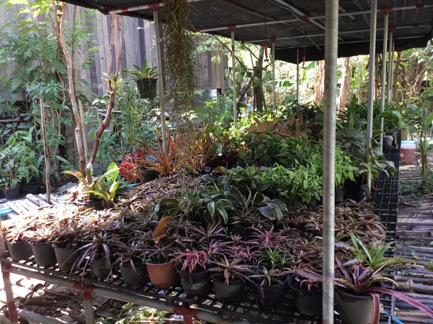 Property building in Rustic​ Charm​ Suphan​