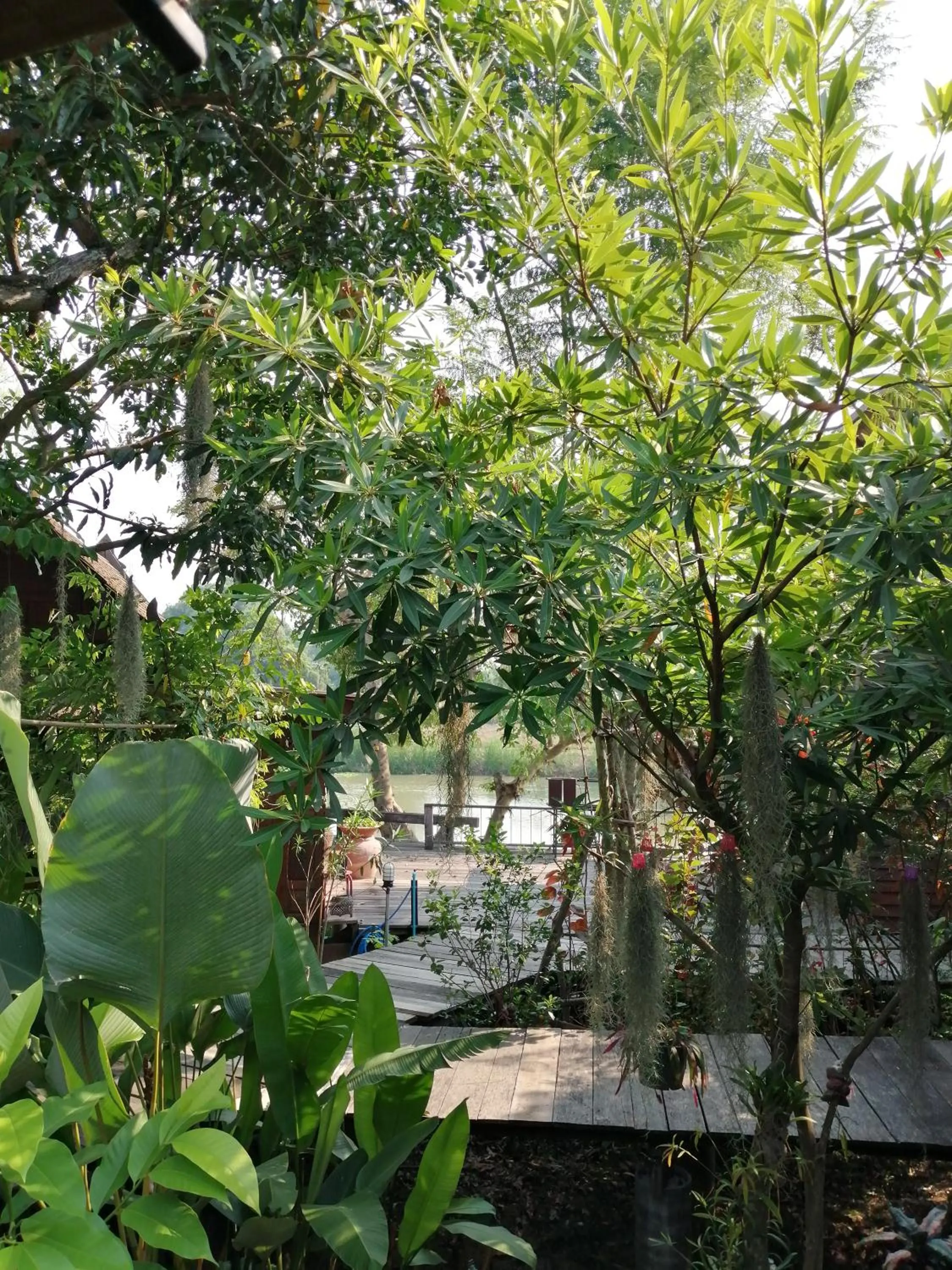 Rustic​ Charm​ Suphan​